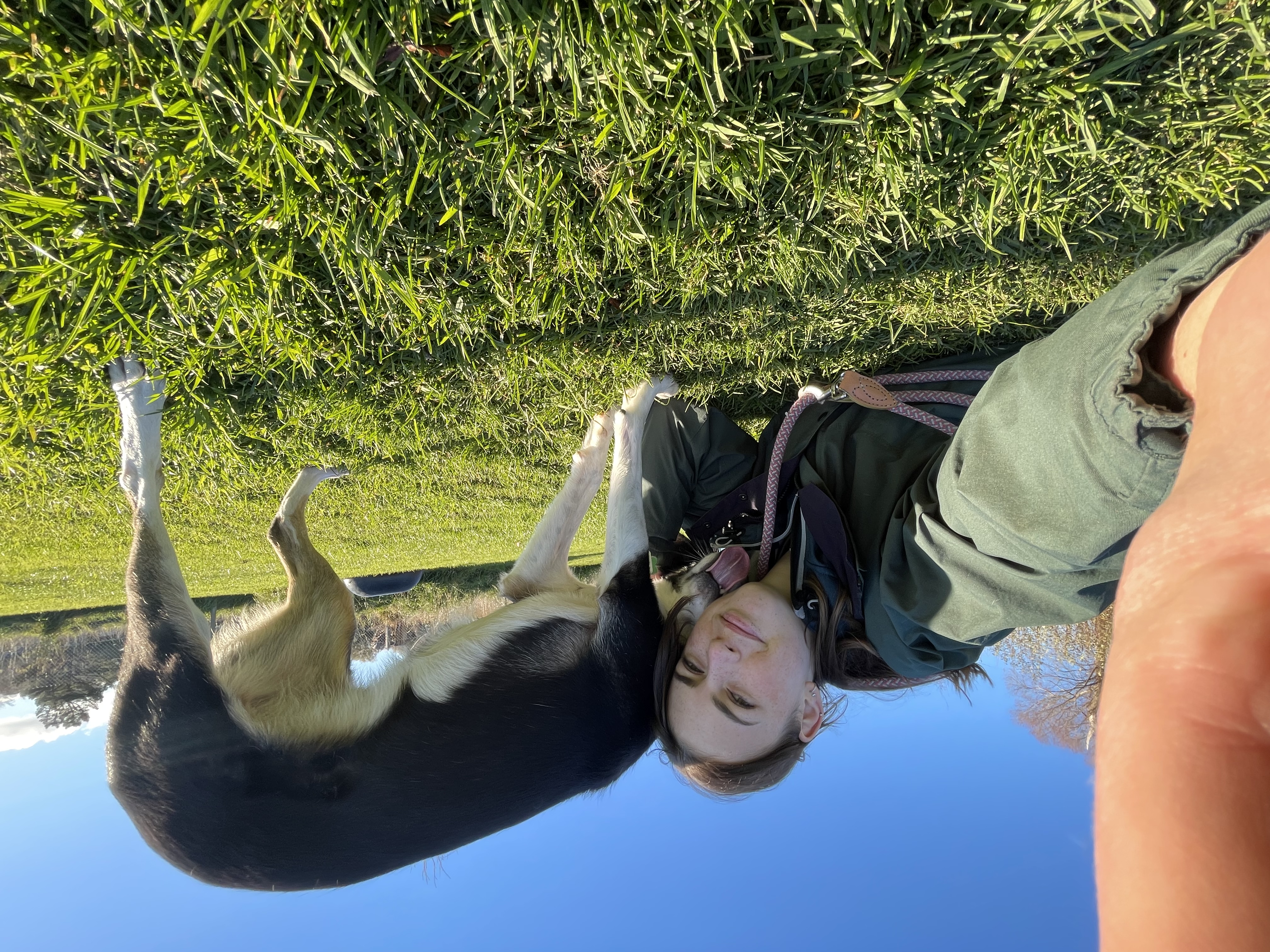 image-8