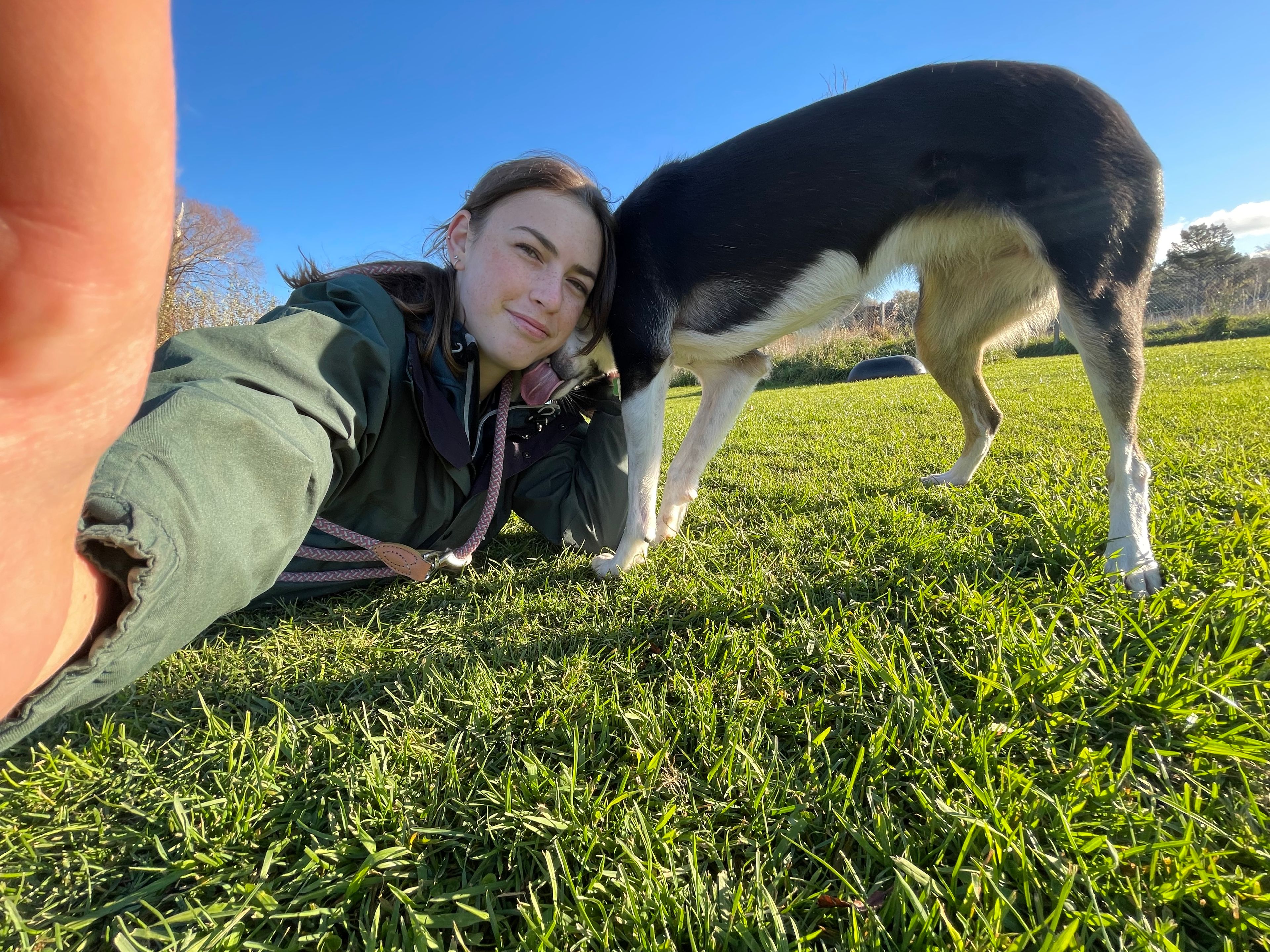 image-8