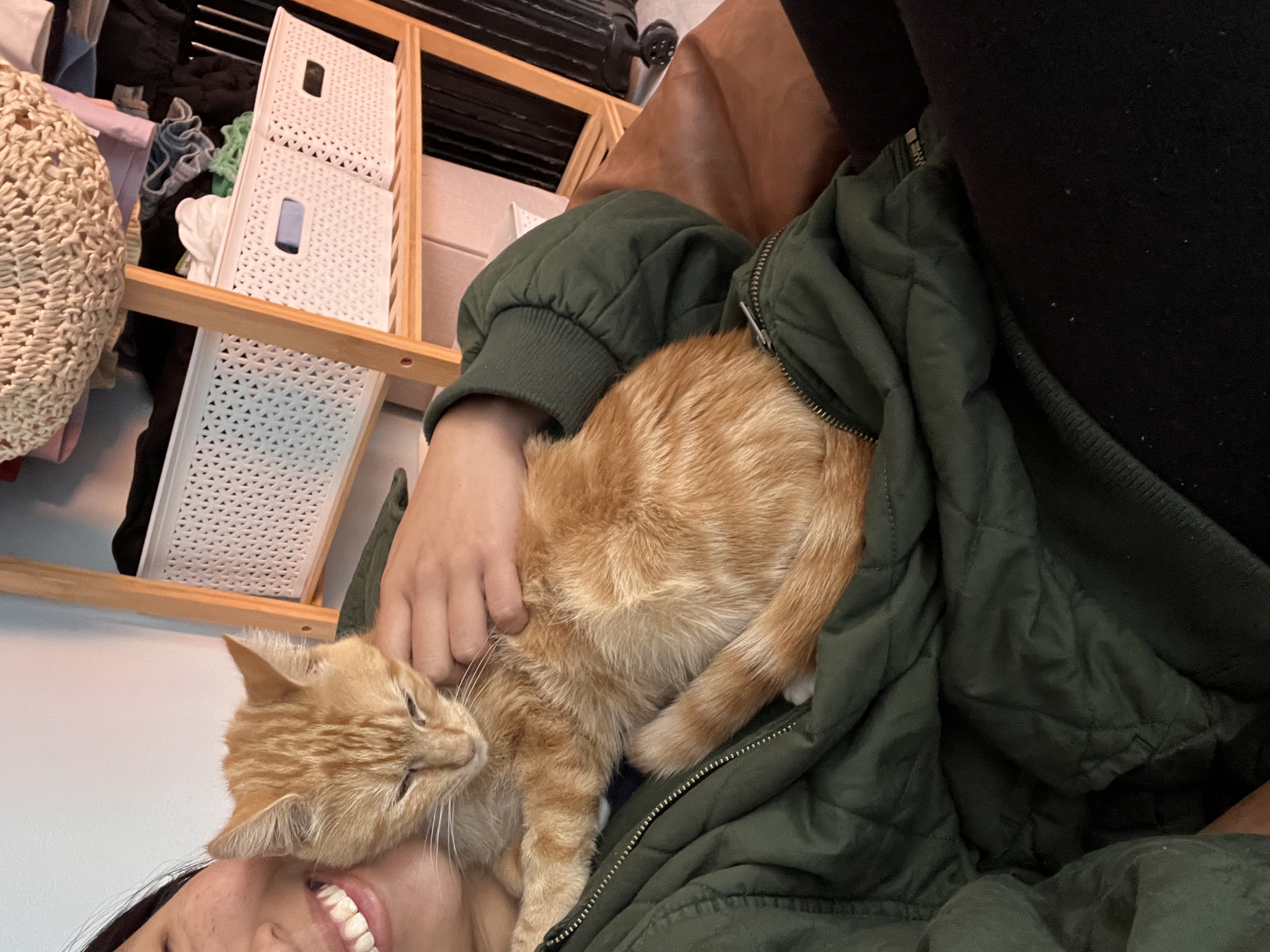 image-8