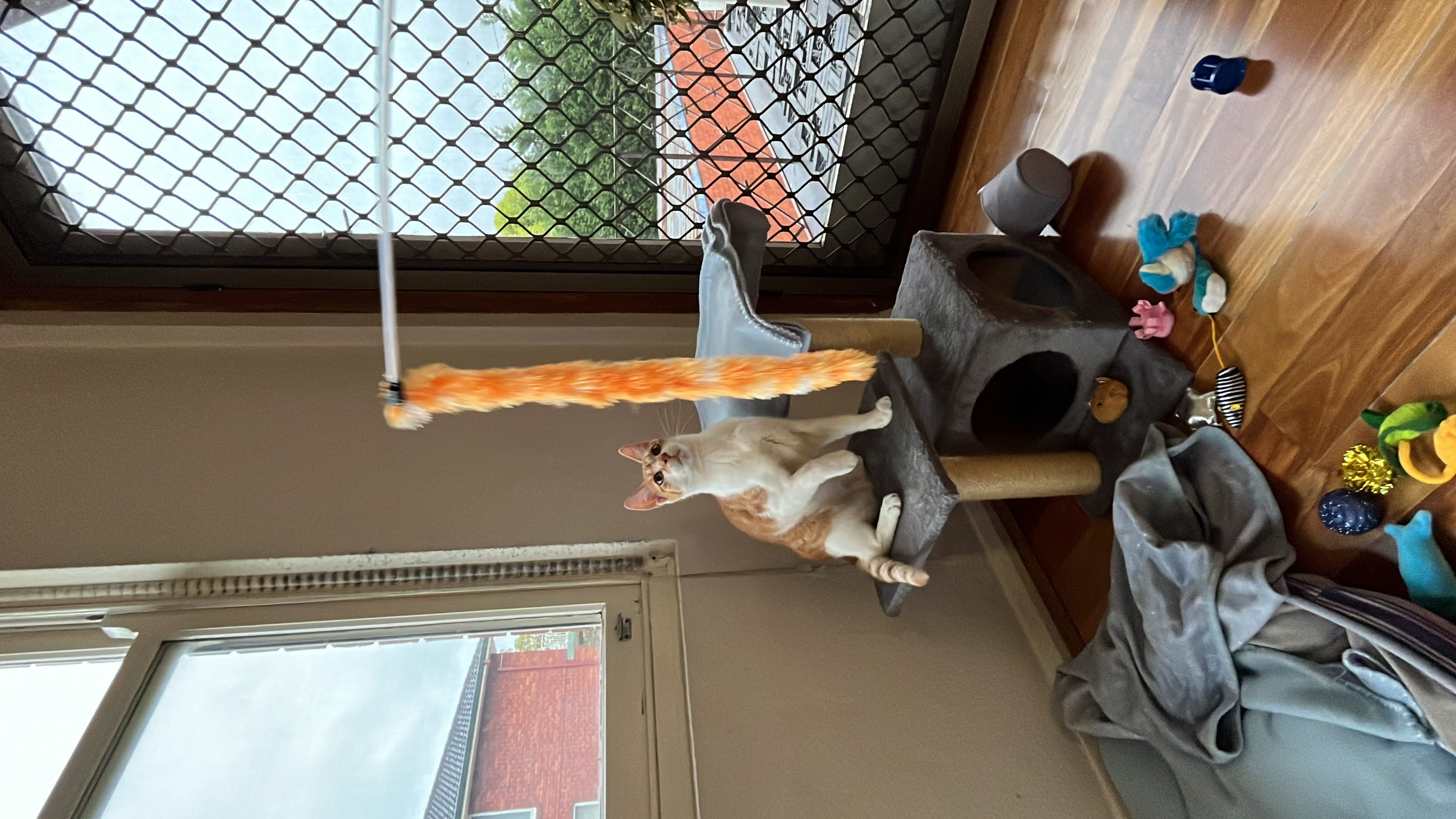 image-10