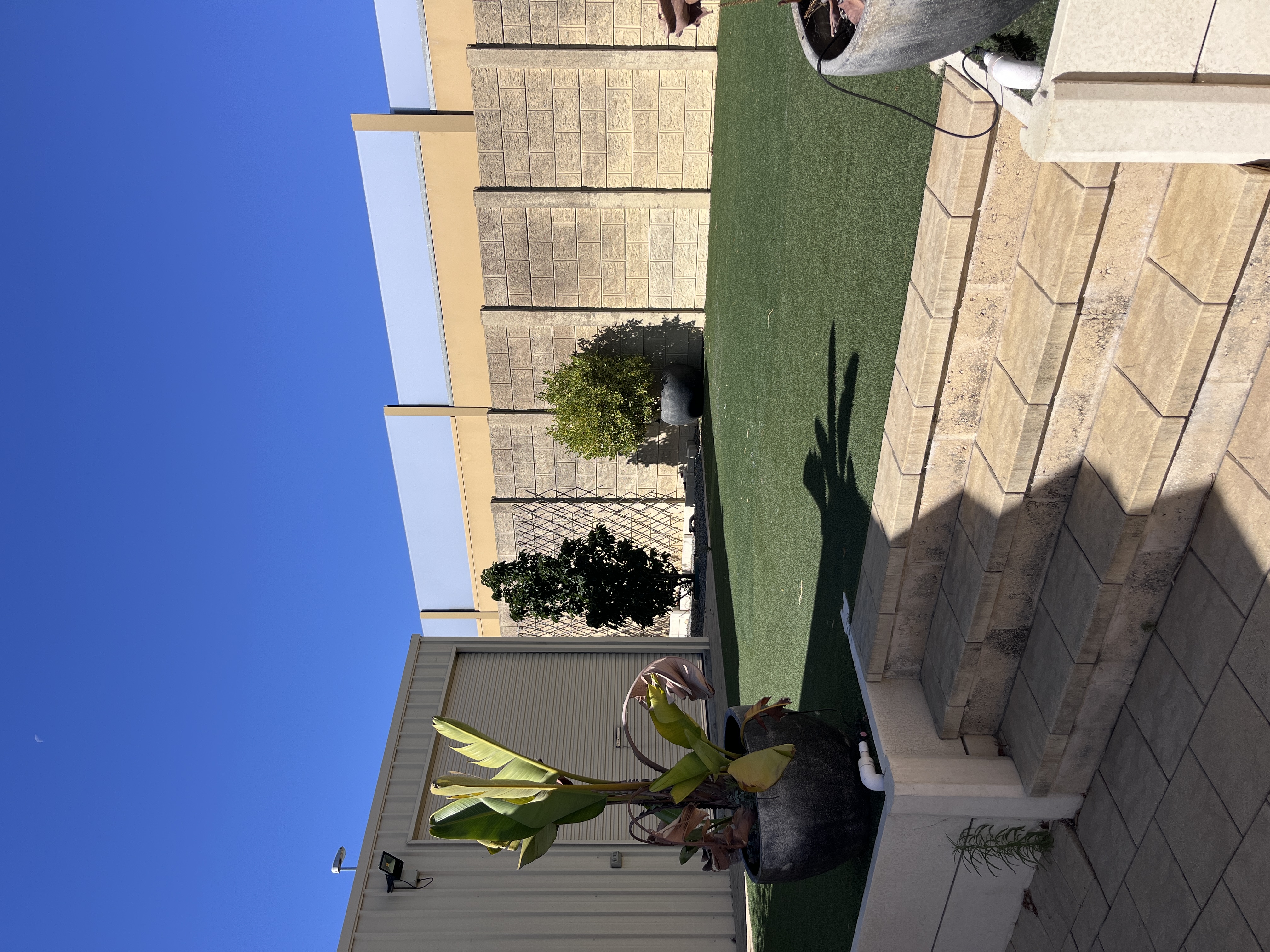 image-14
