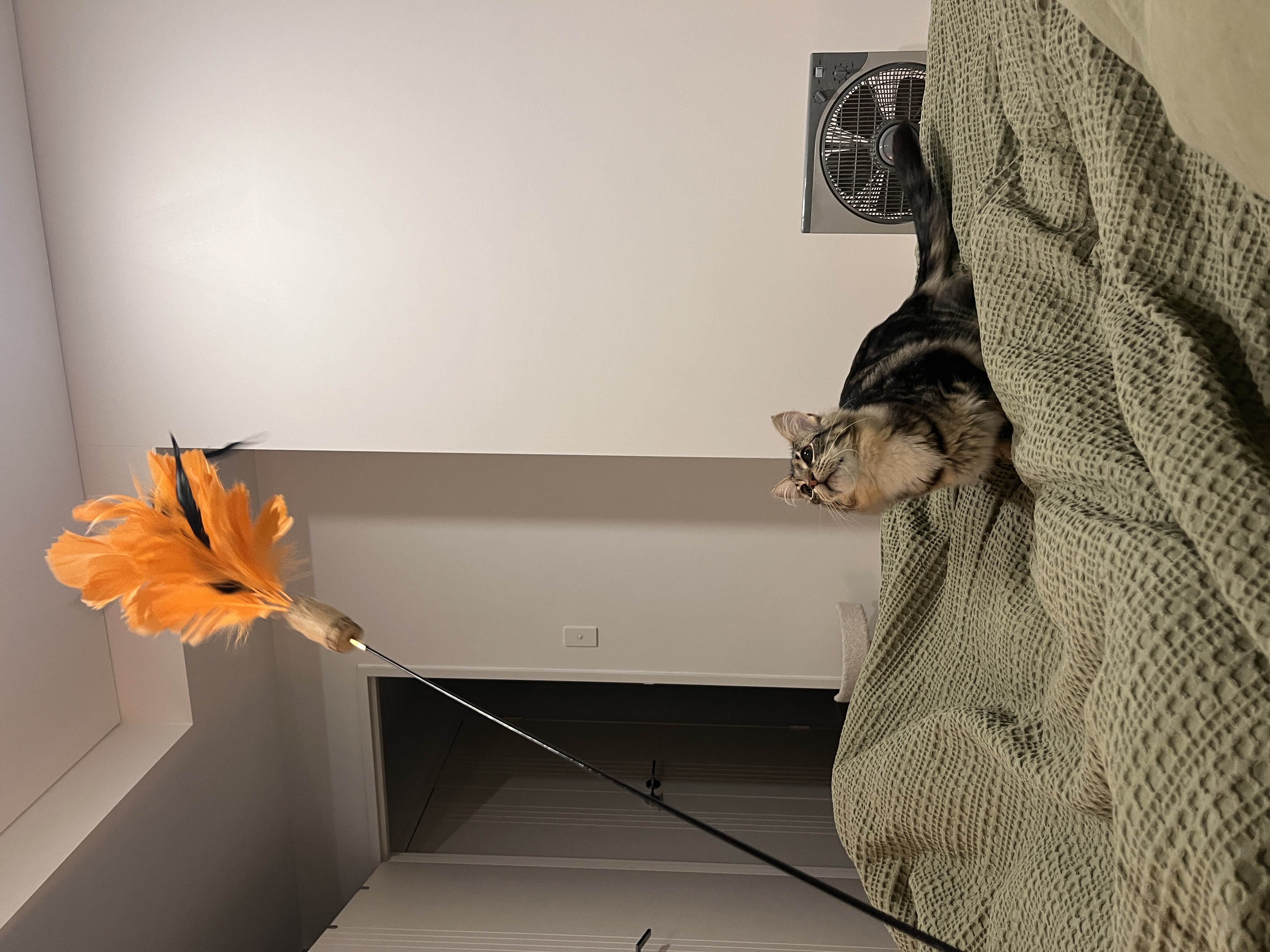 image-9