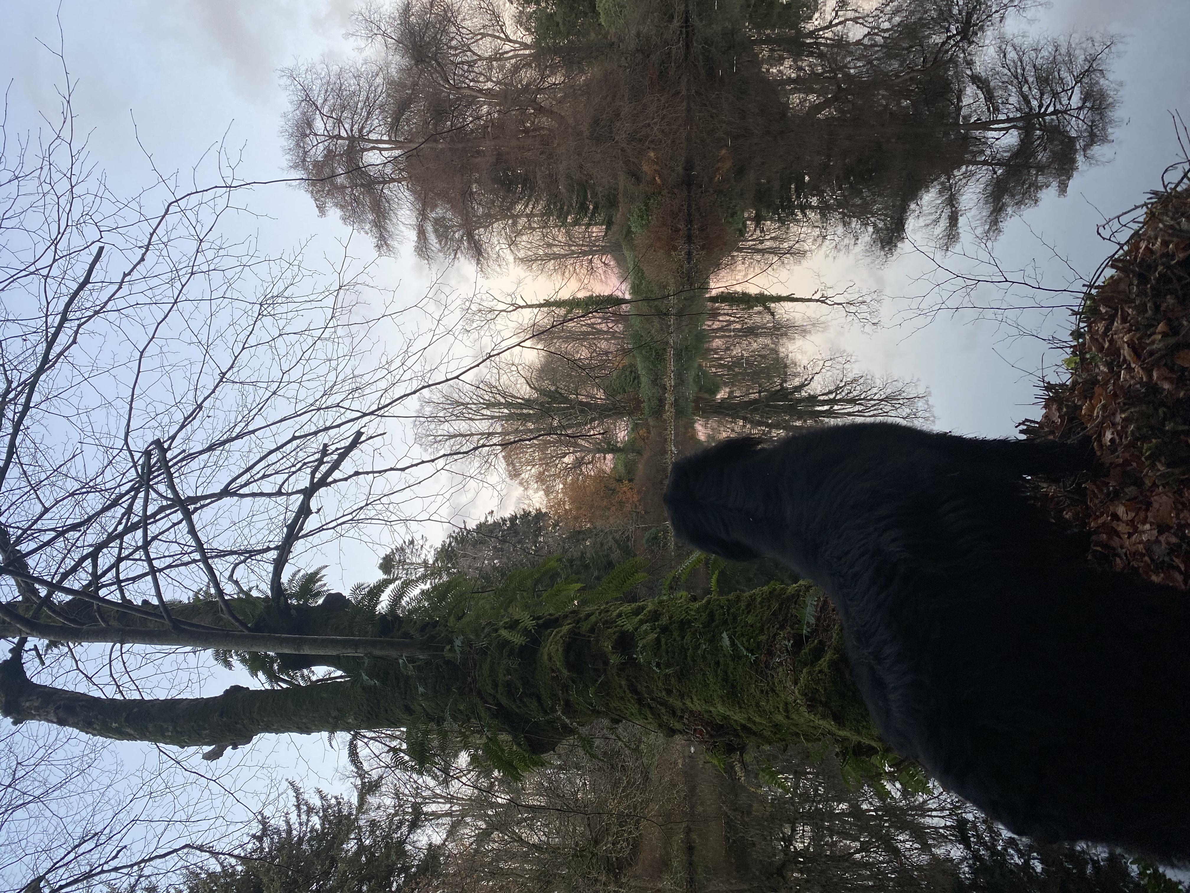 image-9