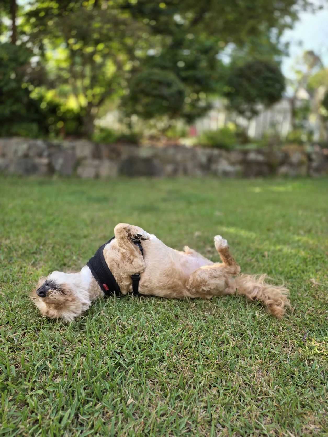 image-213