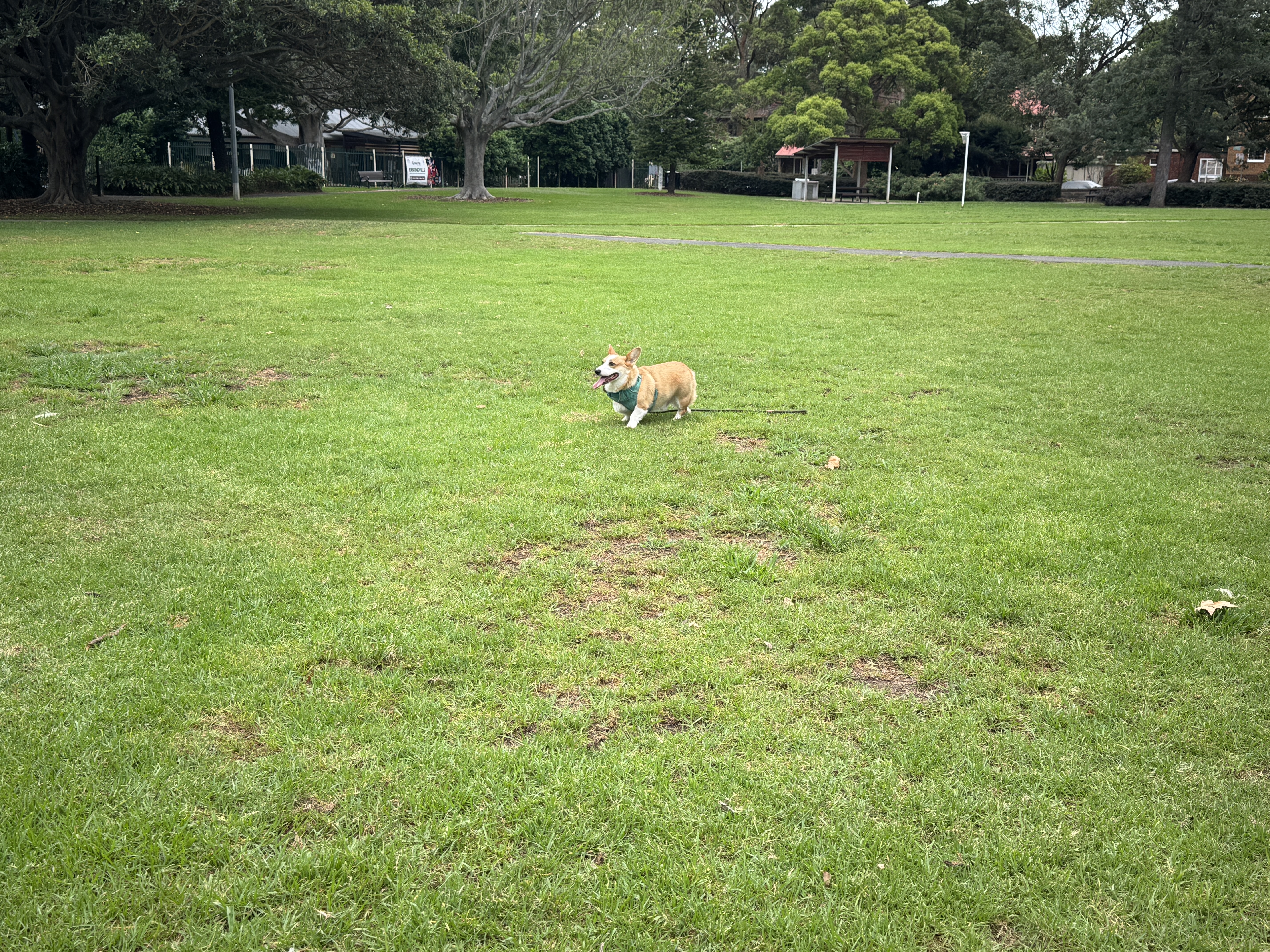 image-23