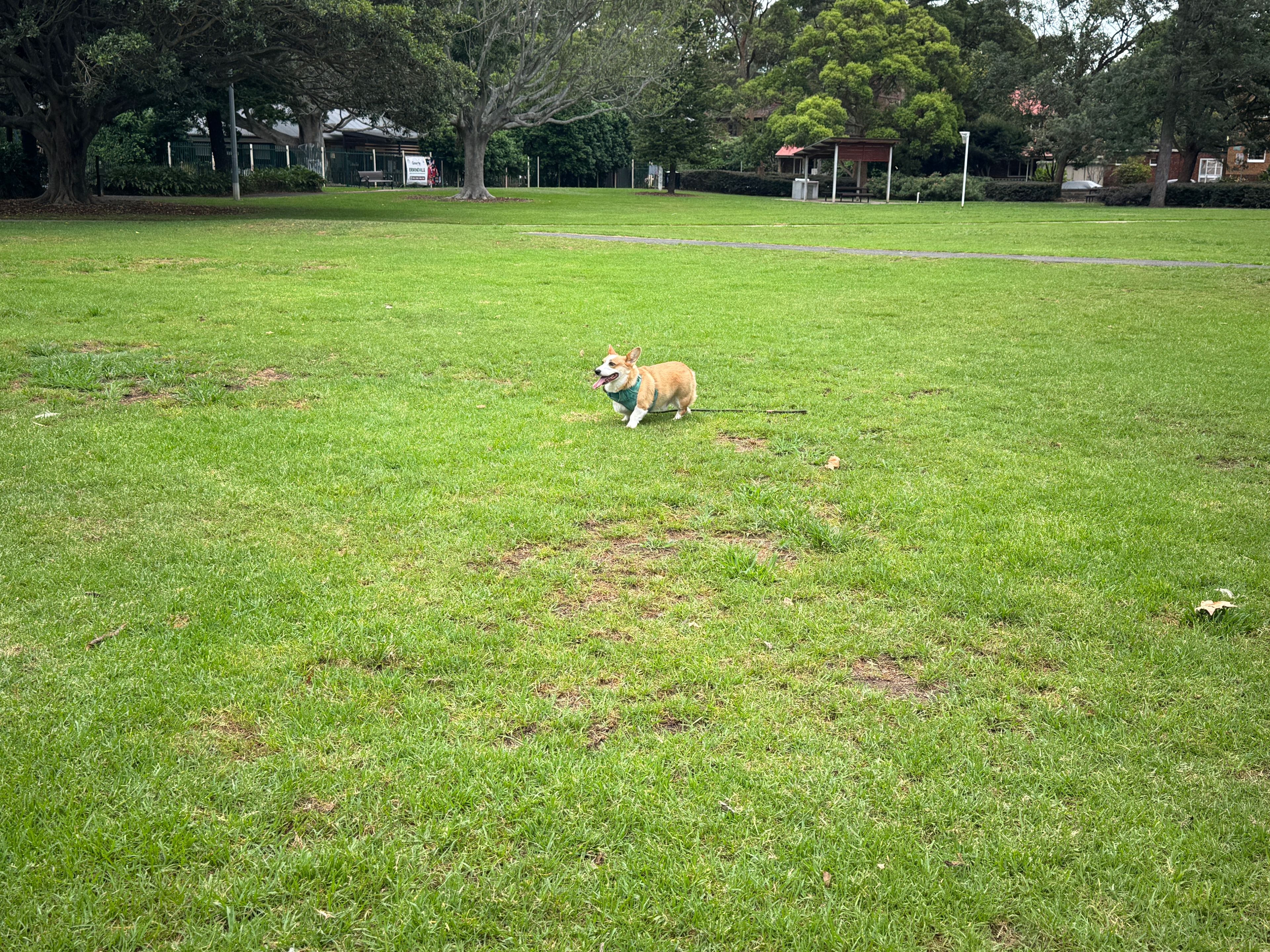 image-23