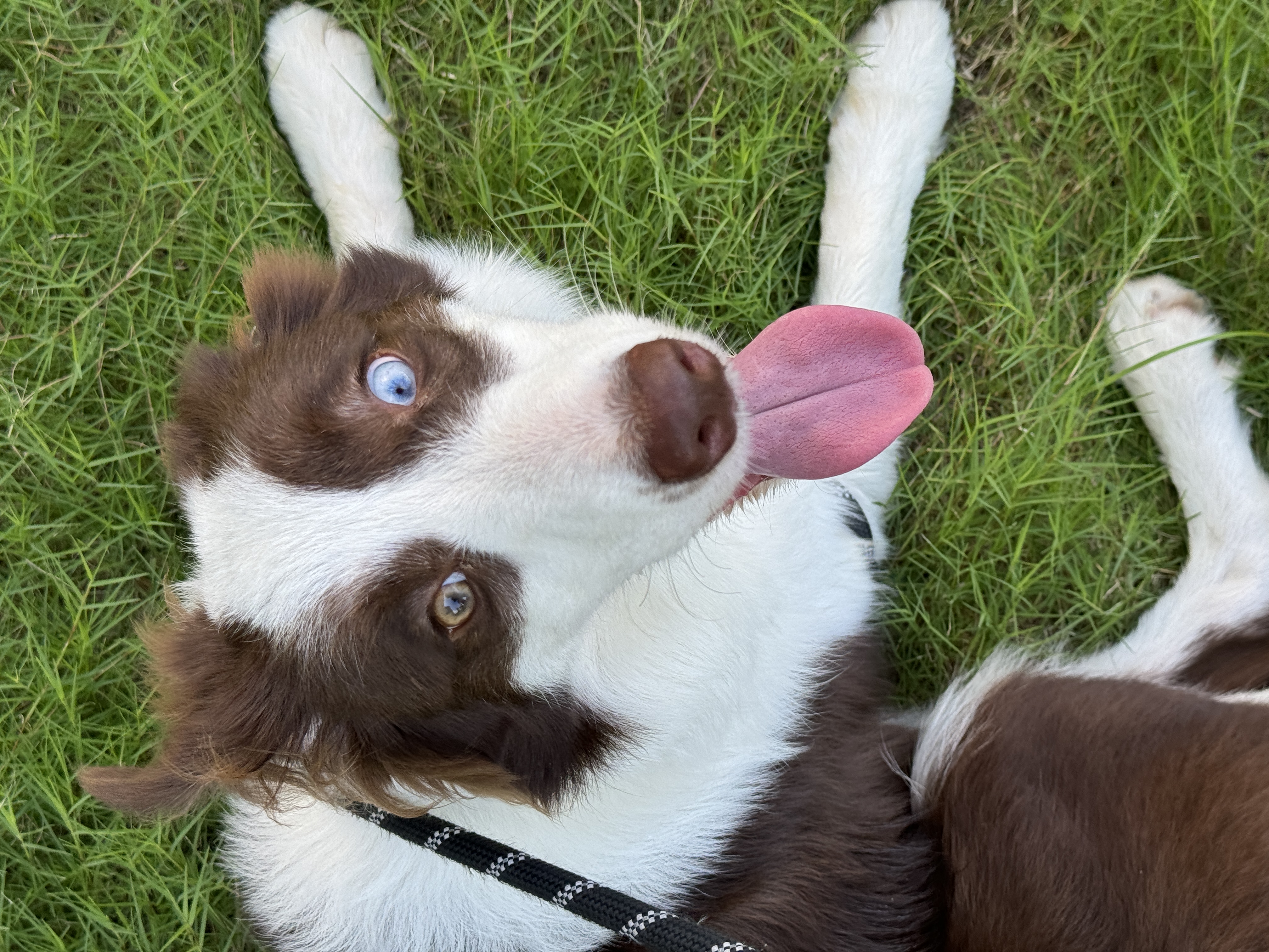 image-2