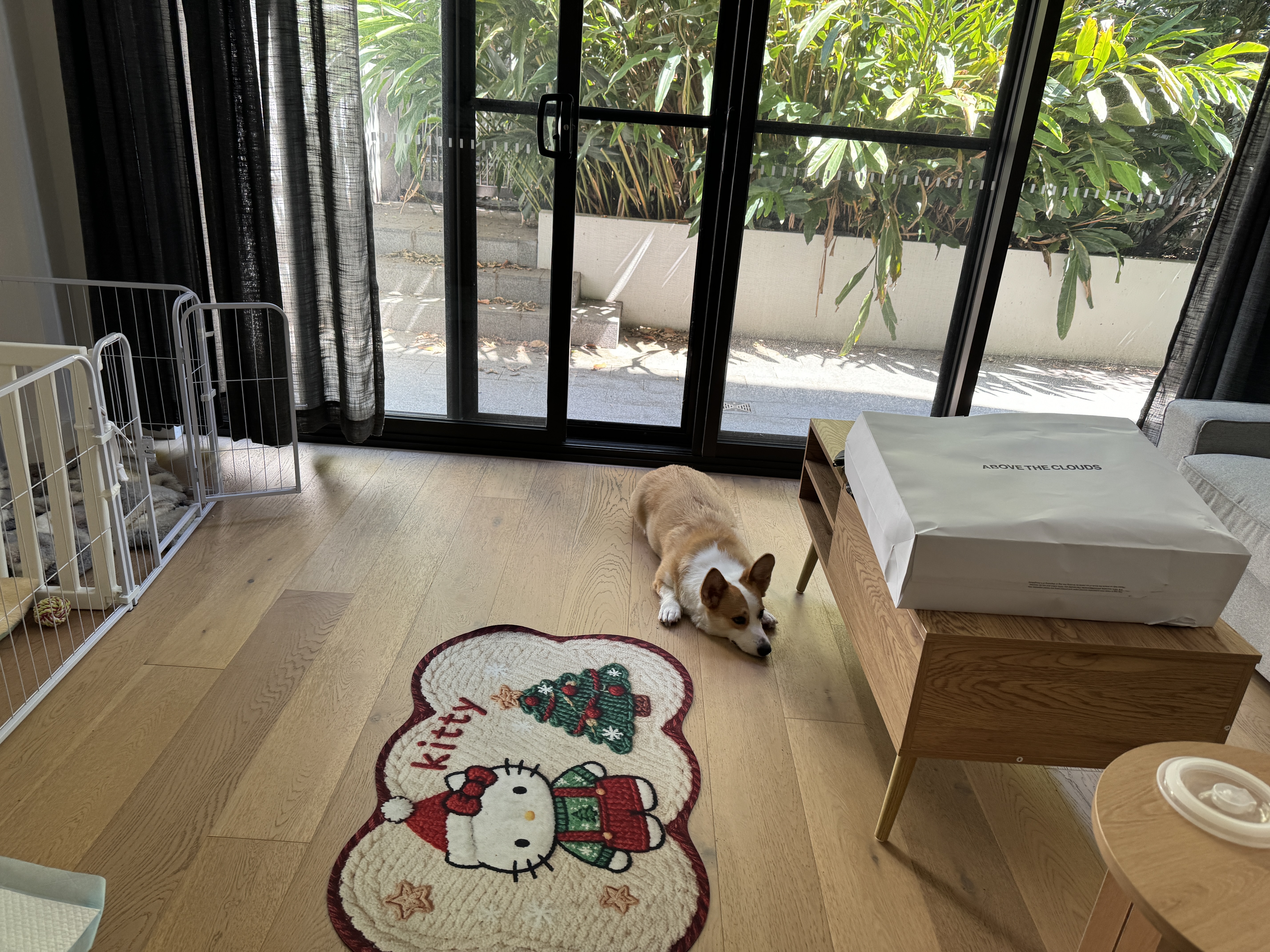 image-7