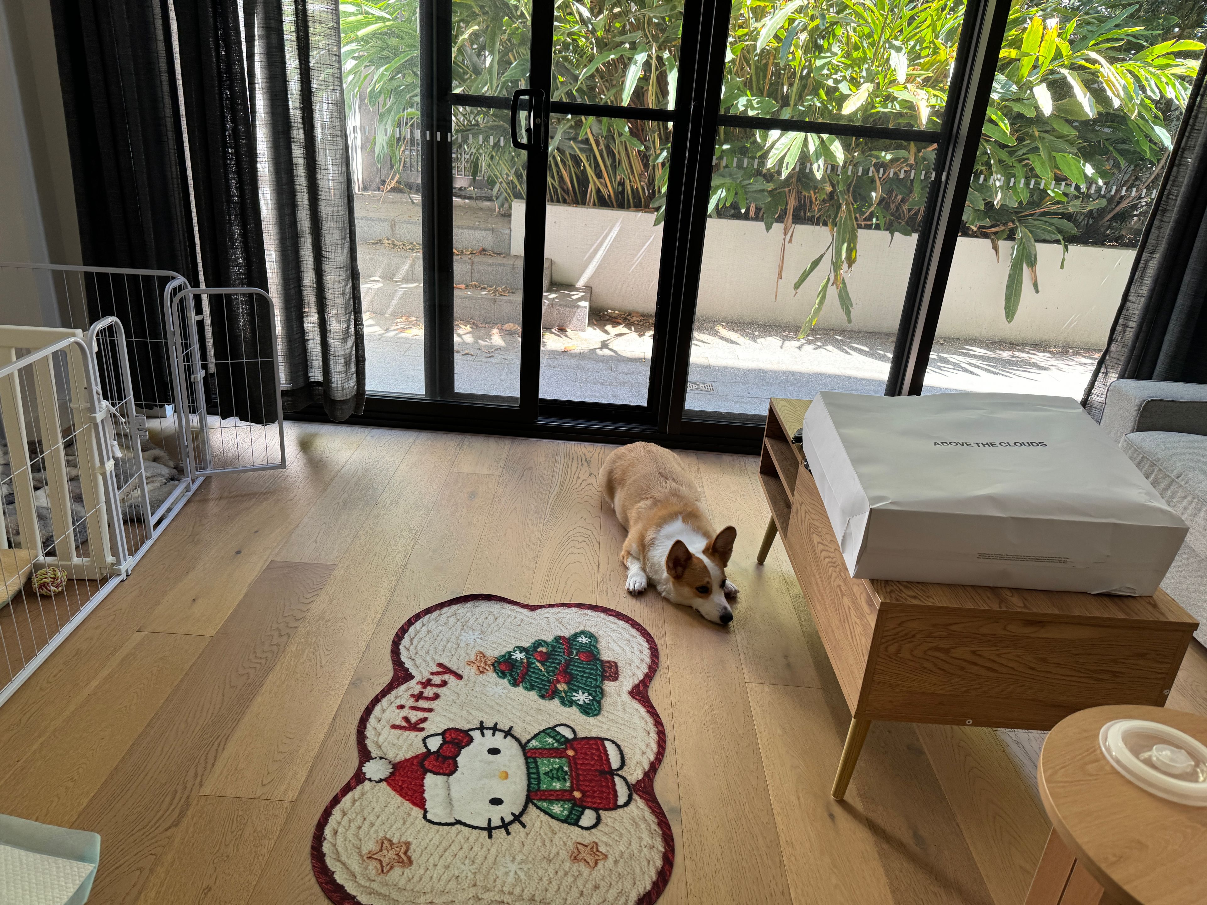 image-7