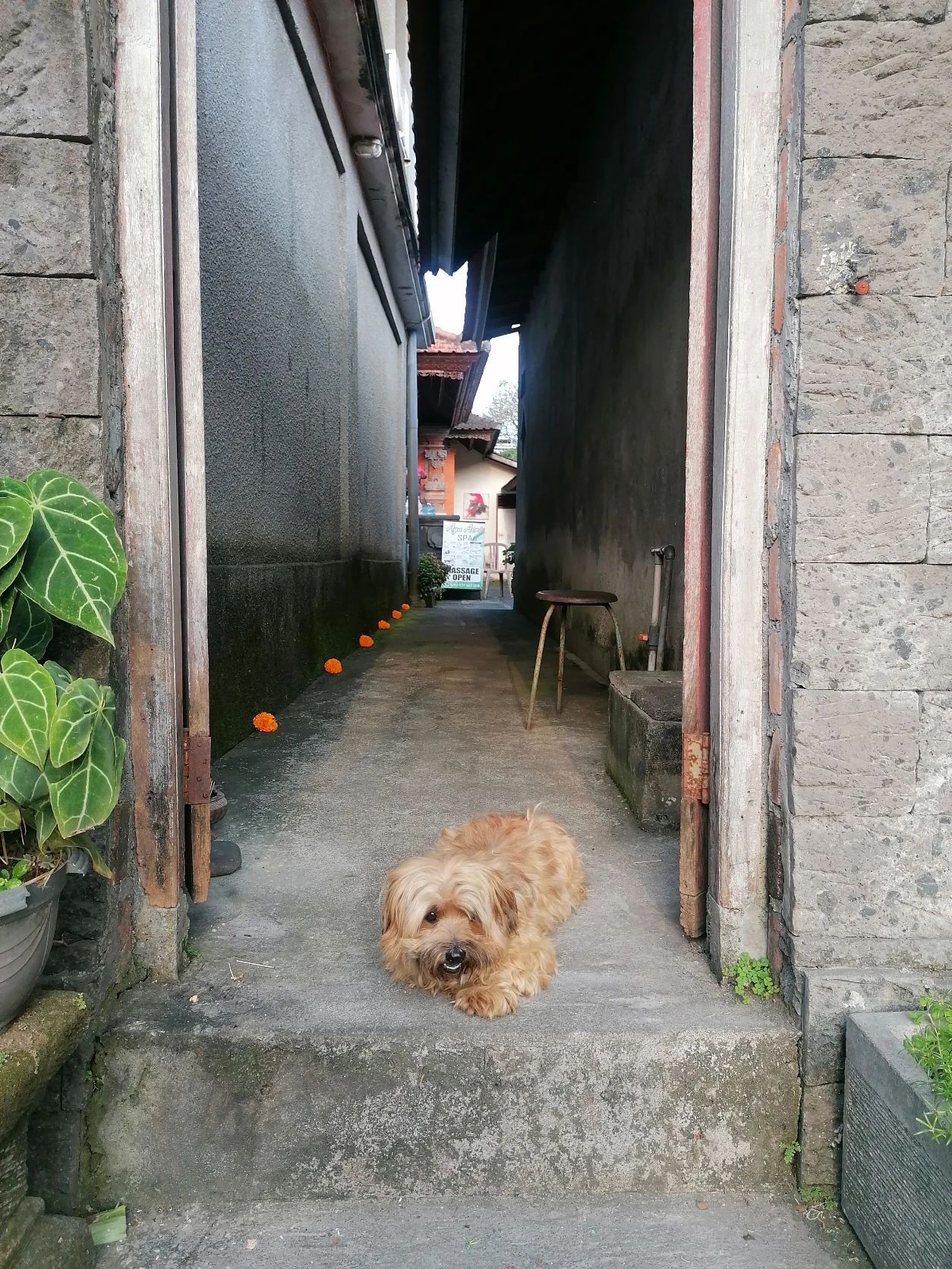 image-3