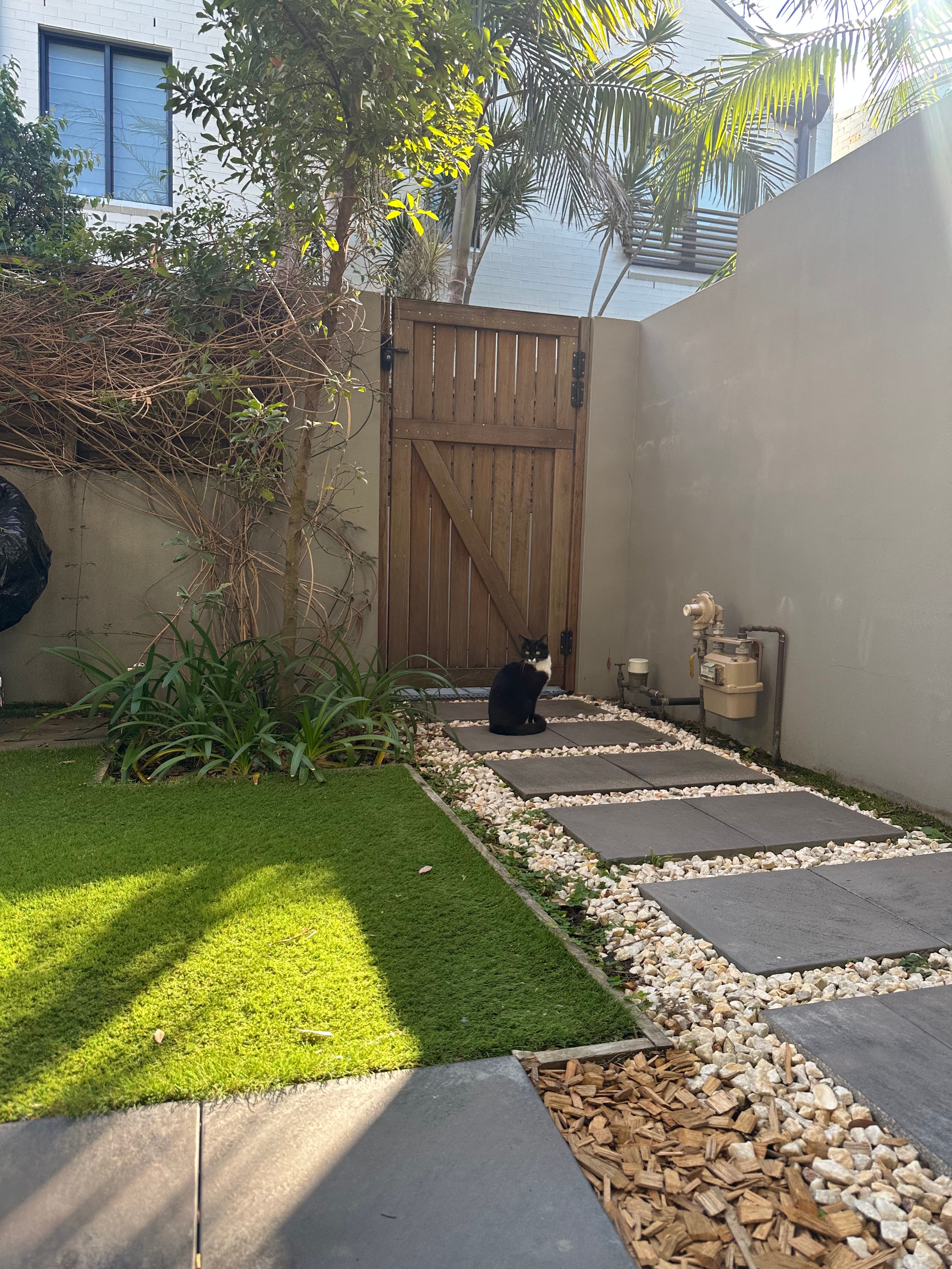 image-12
