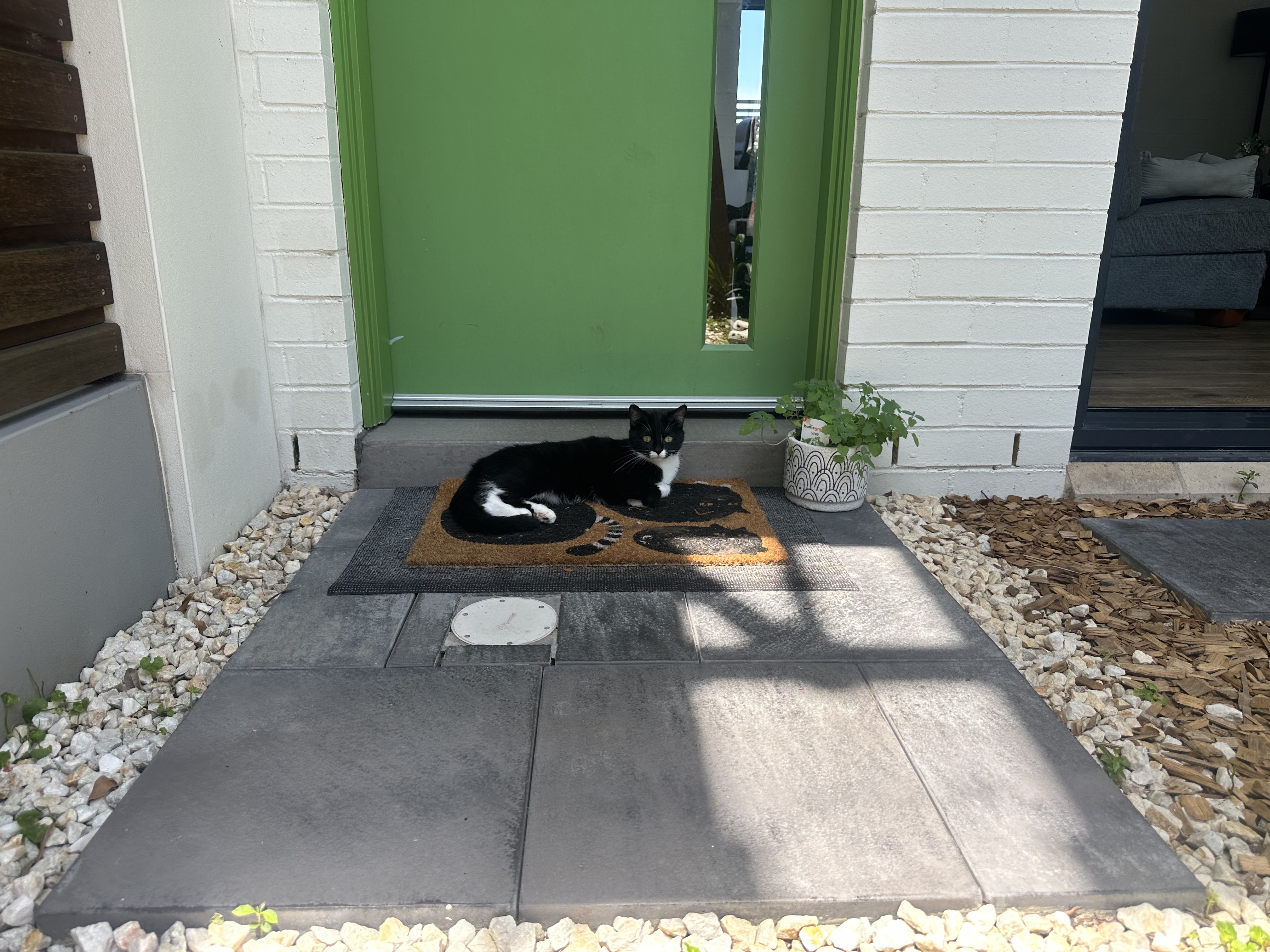 image-13