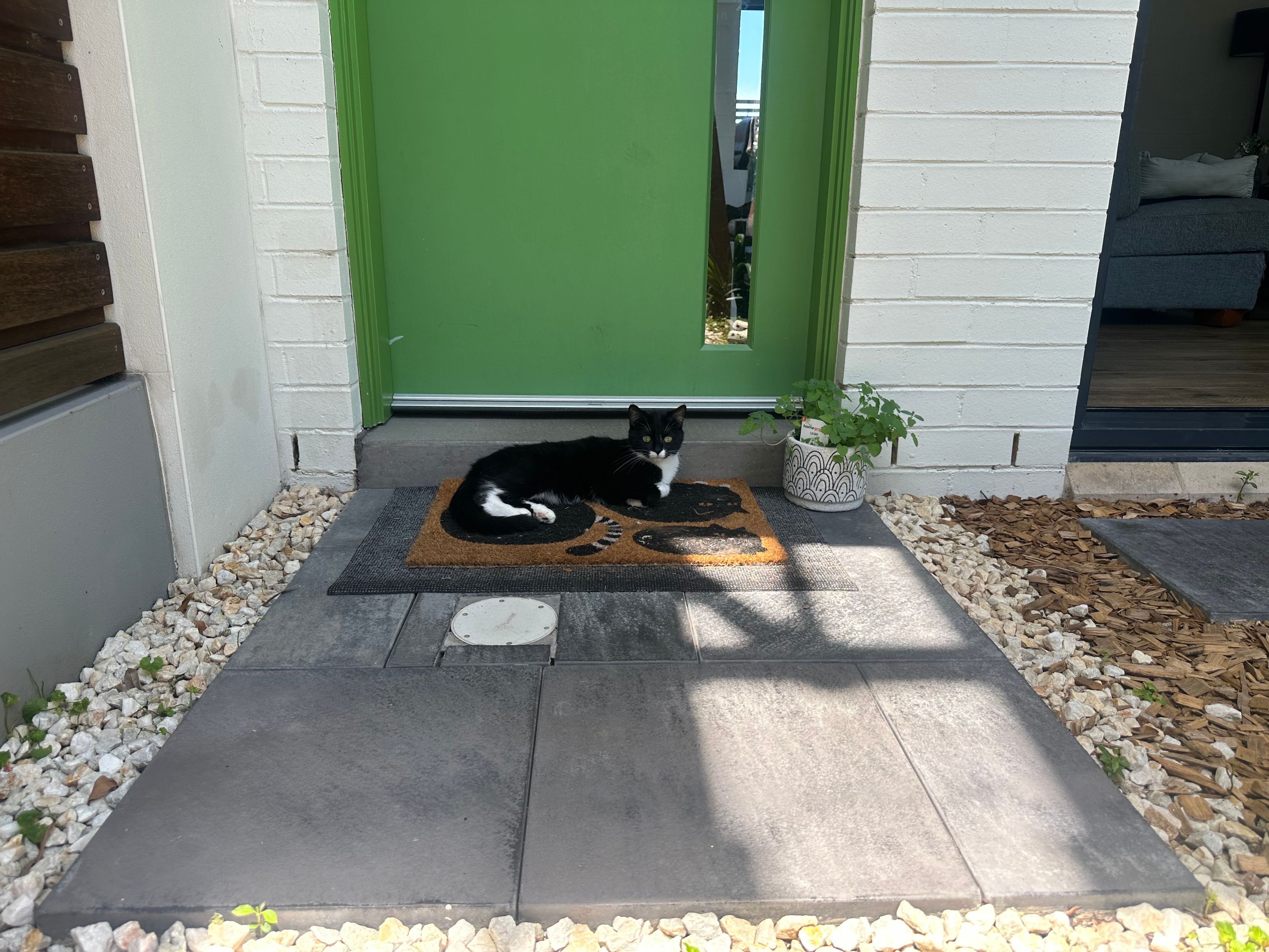 image-13