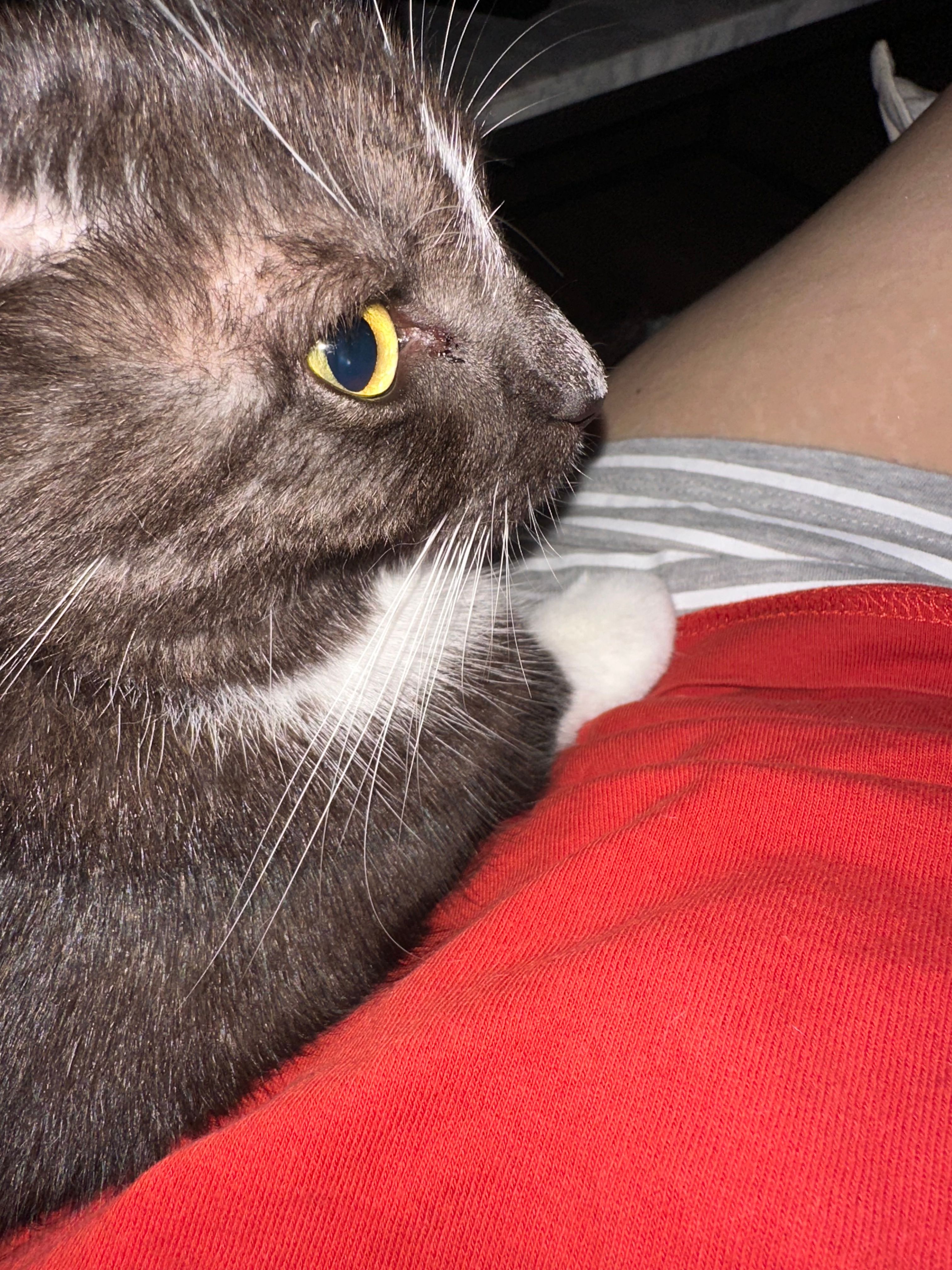 image-8