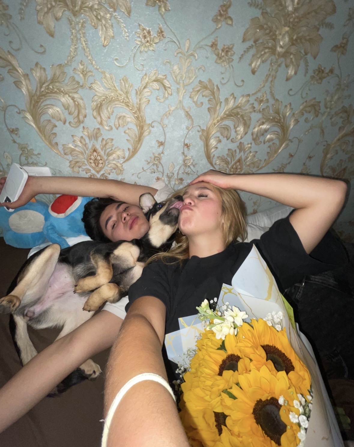 image-6