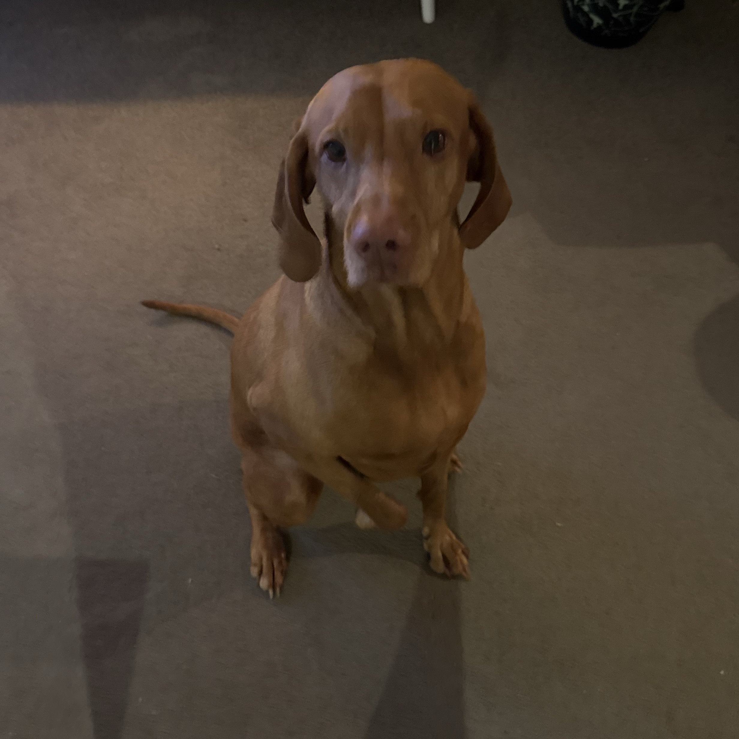 Bonnie