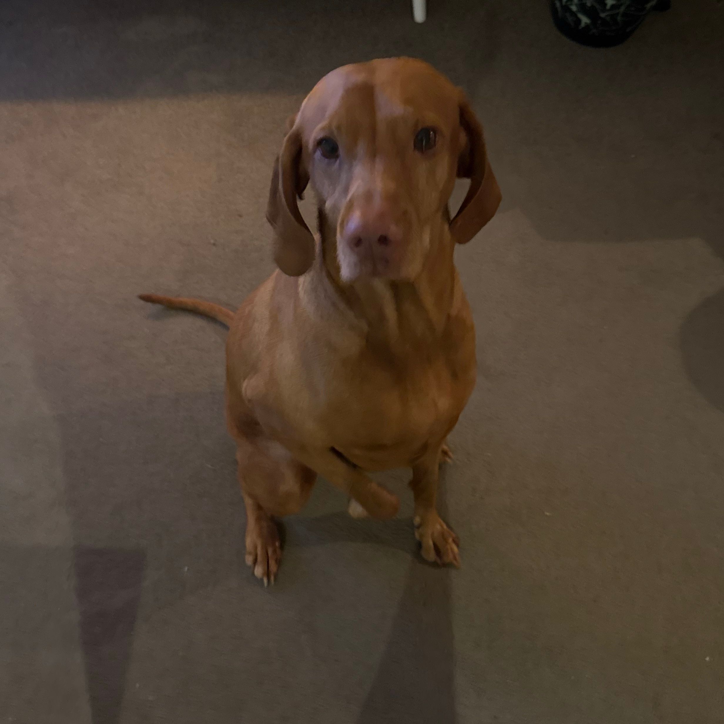 Bonnie
