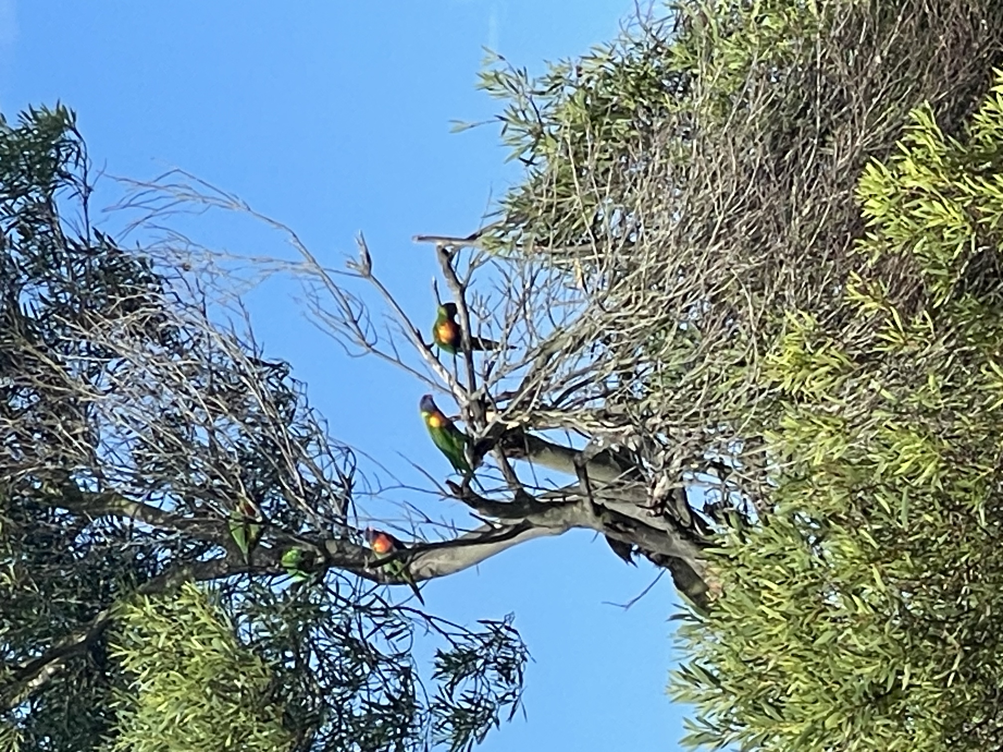 image-13