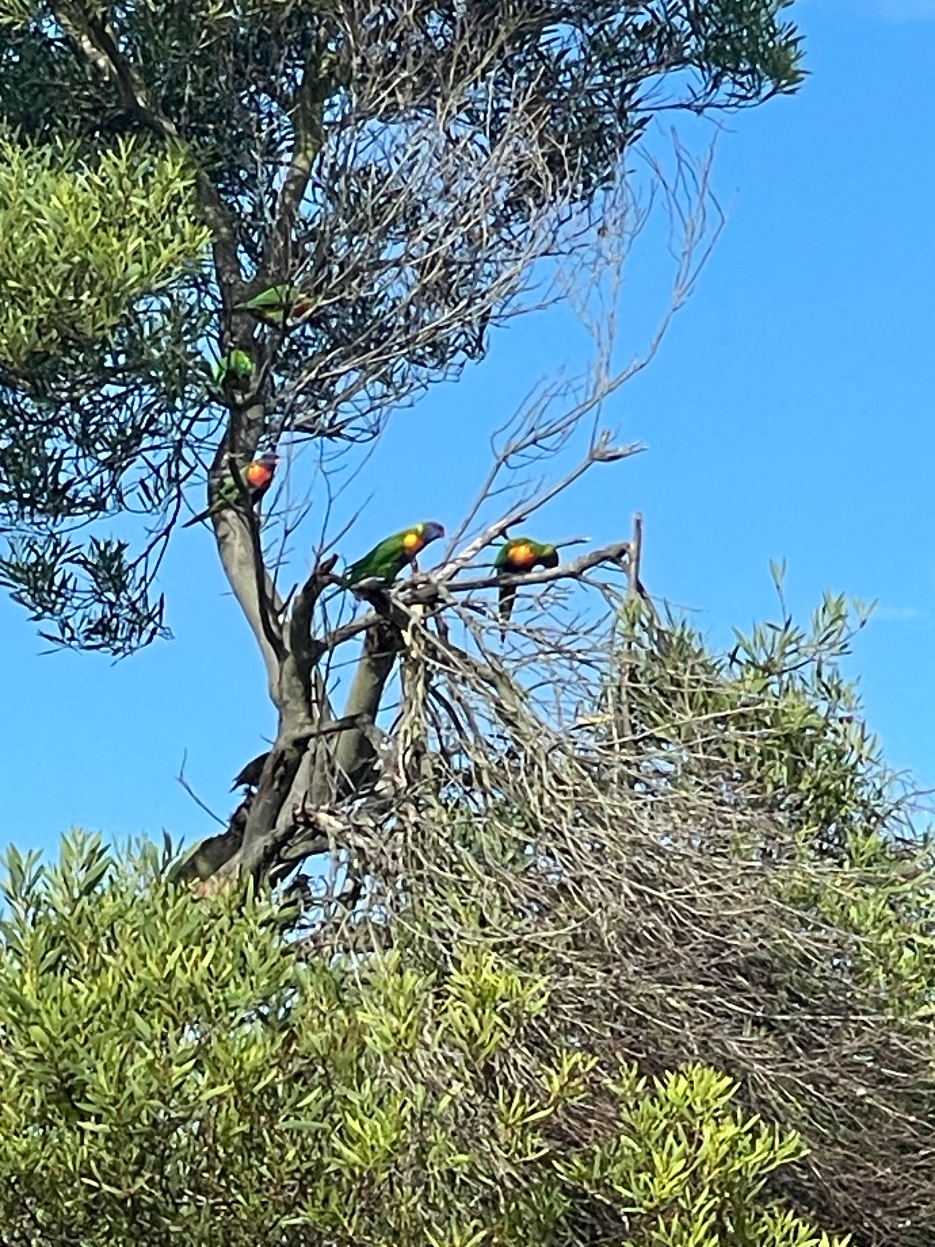 image-13