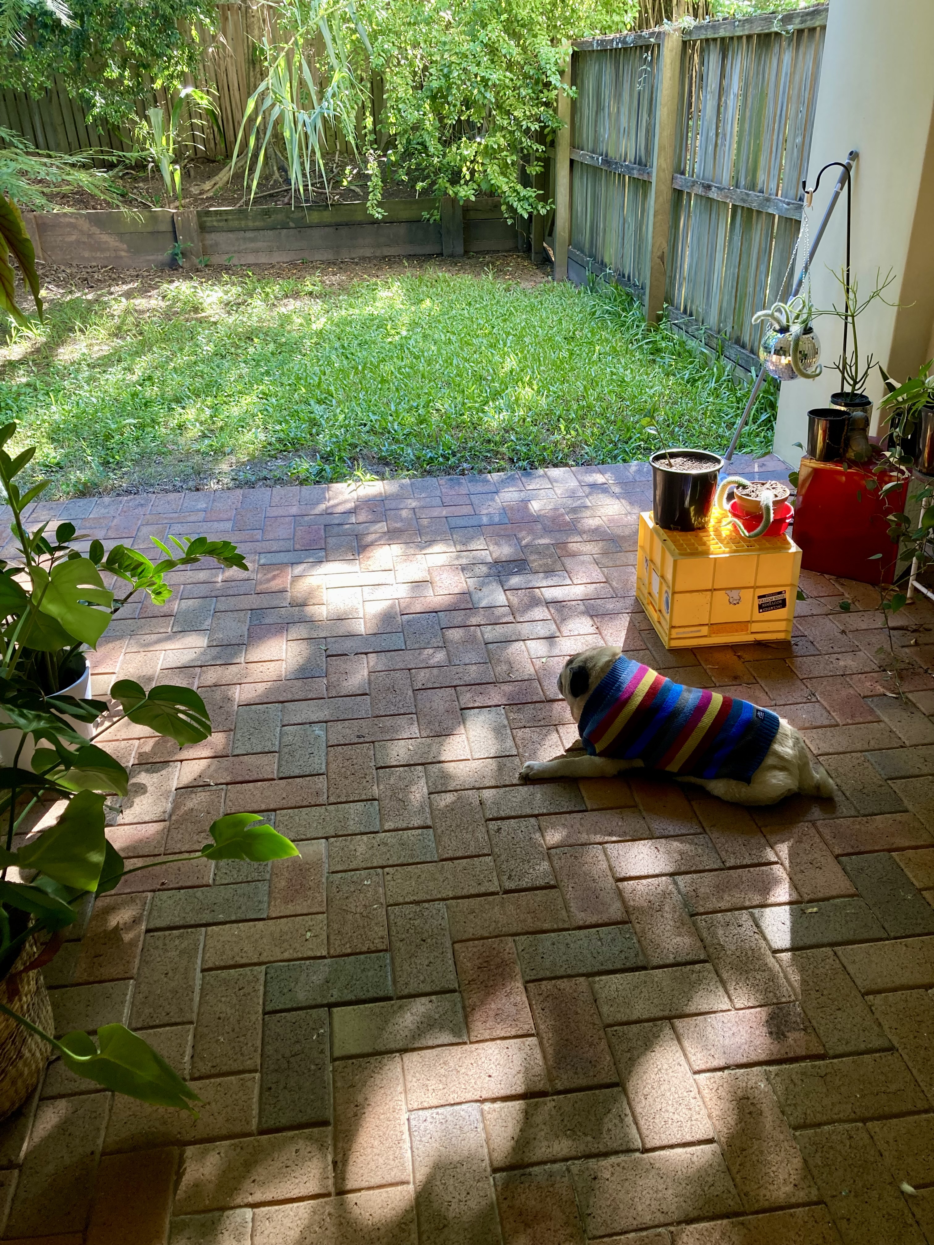 image-13