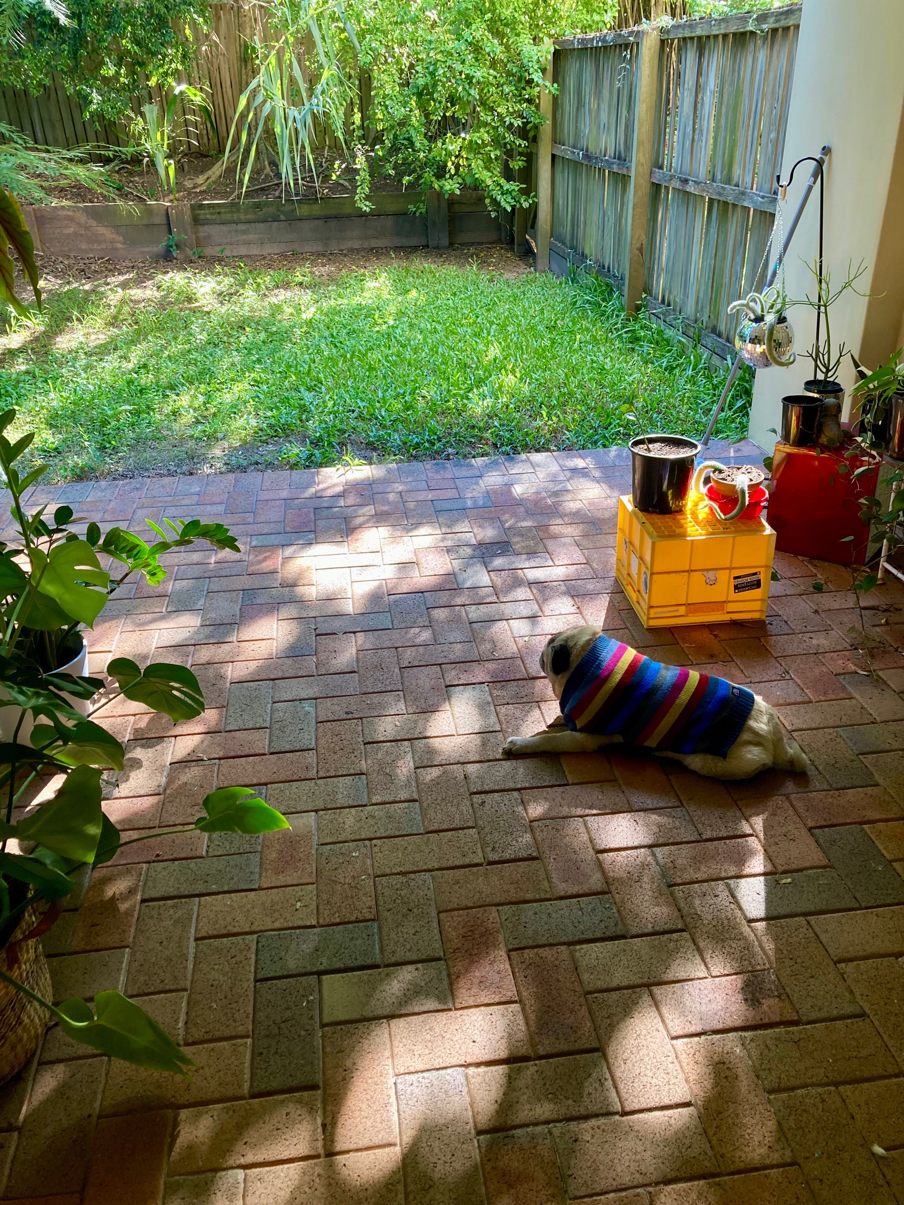 image-13