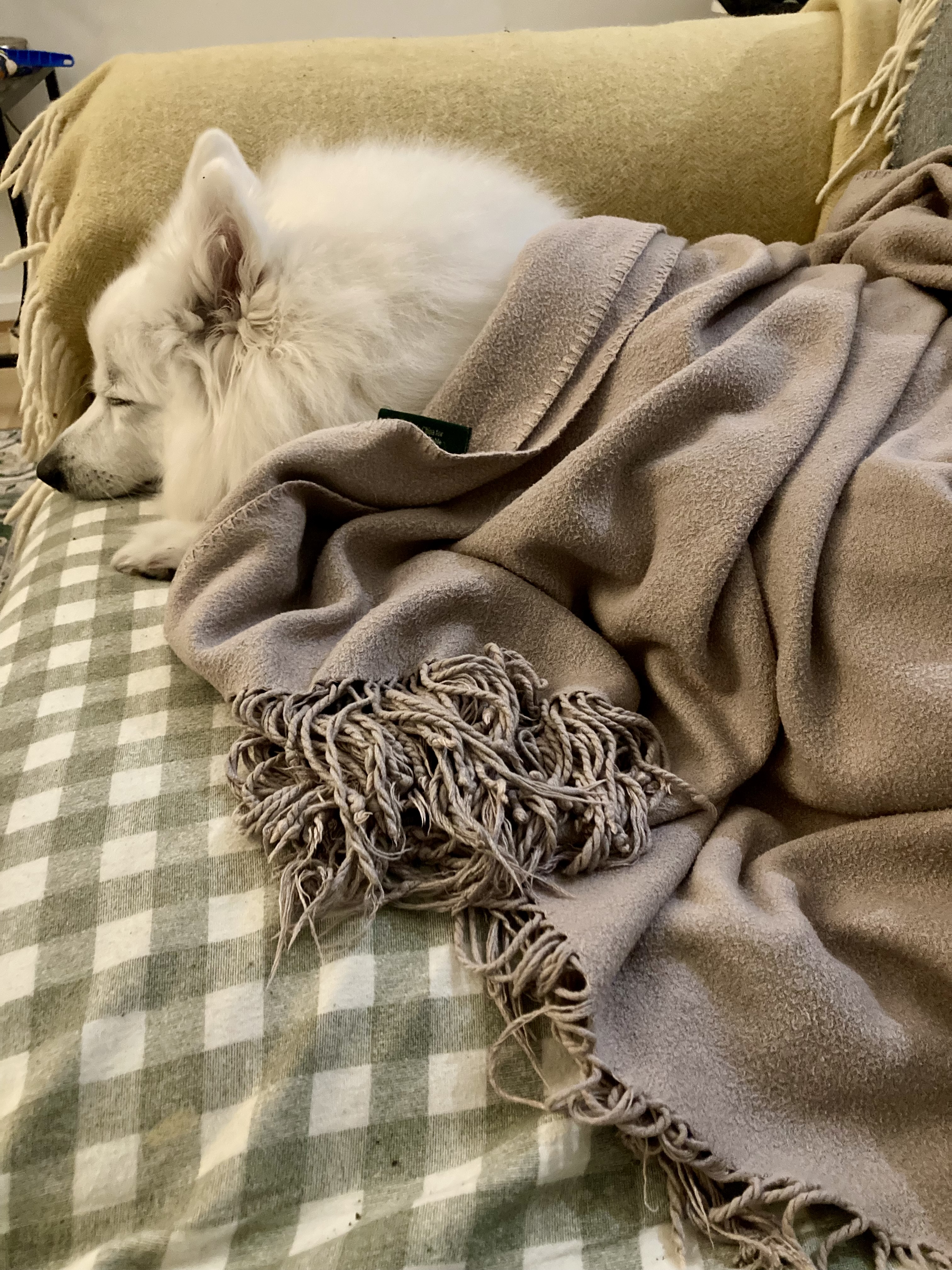 image-8