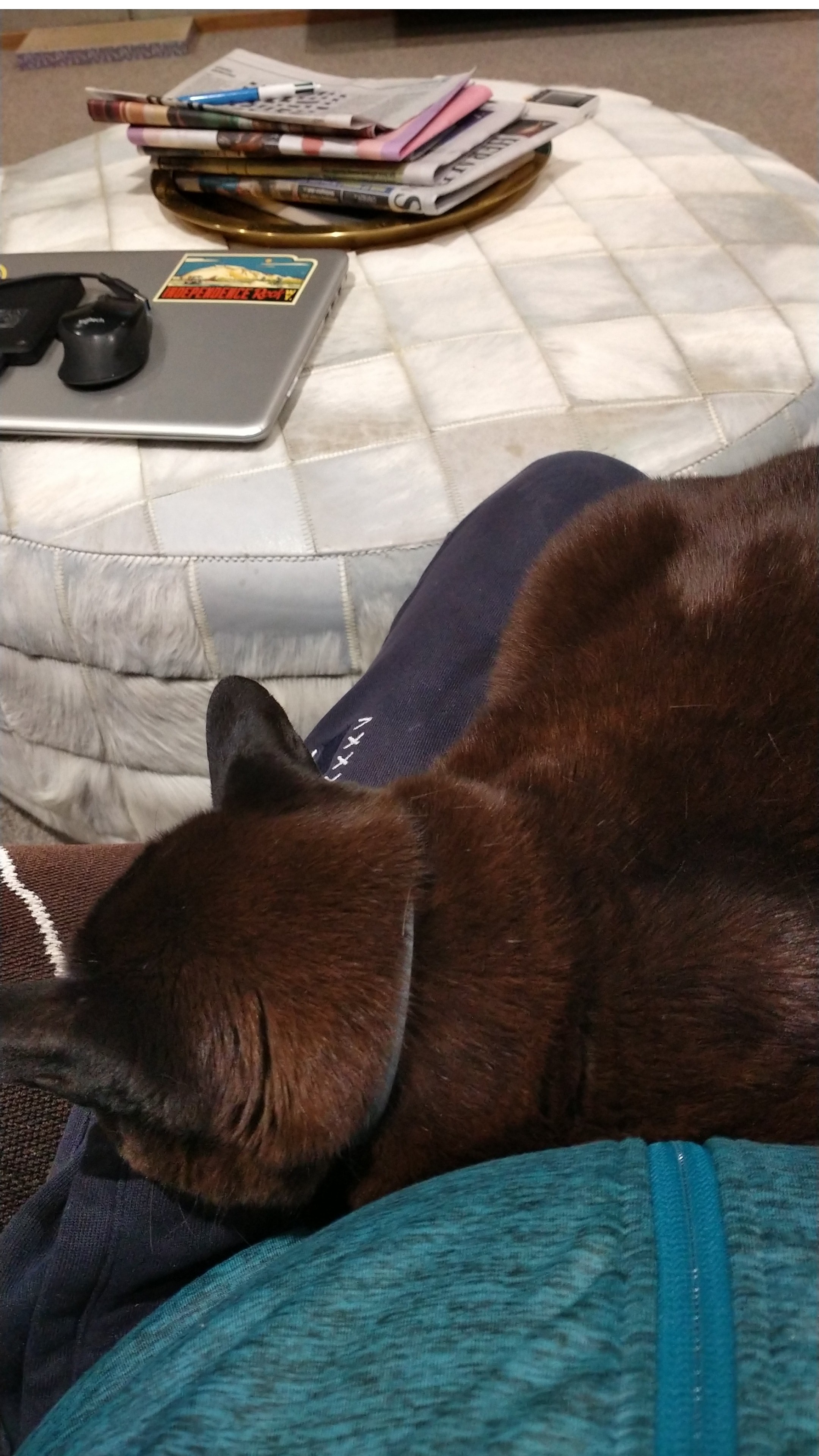image-6