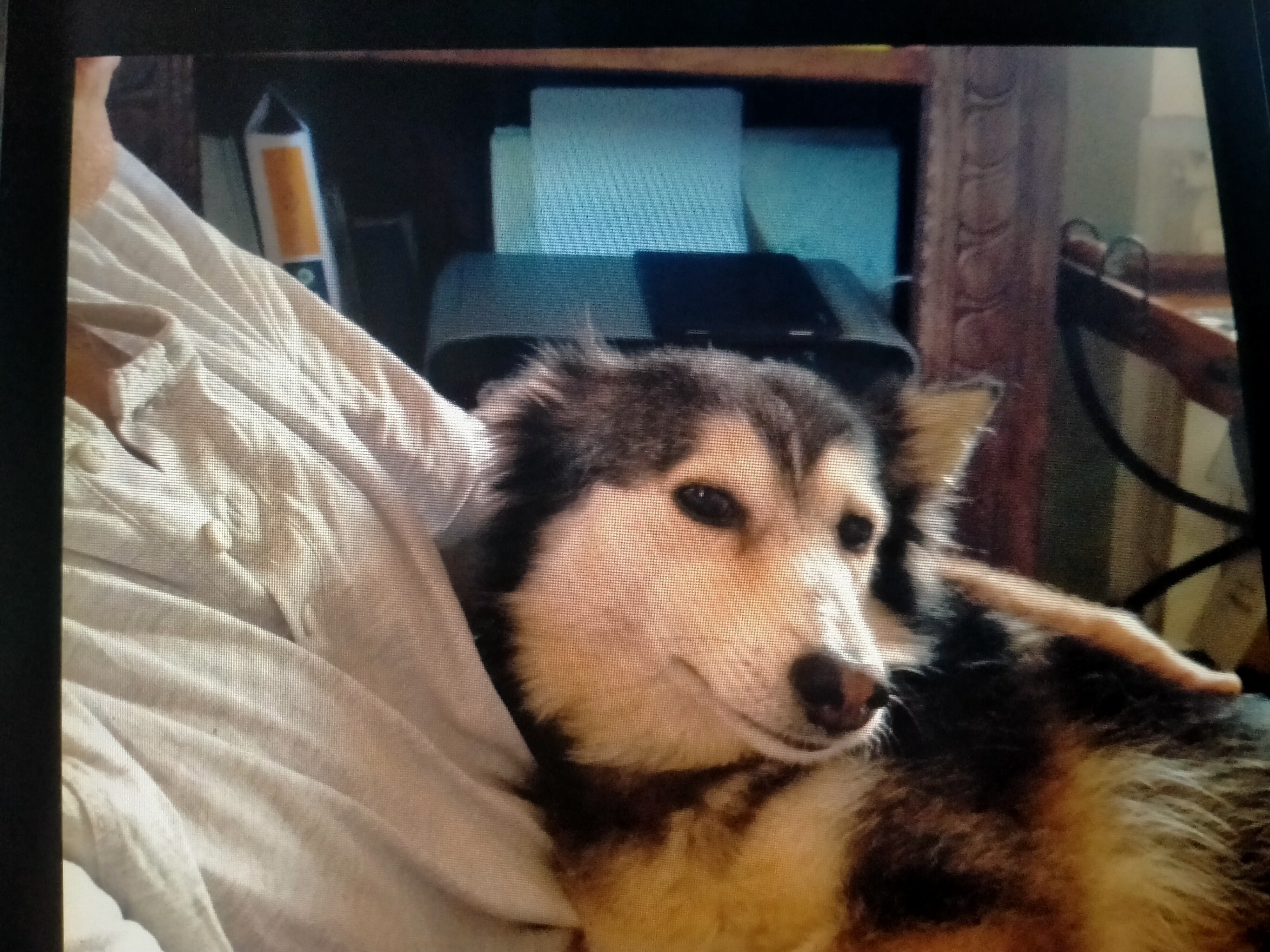 image-7