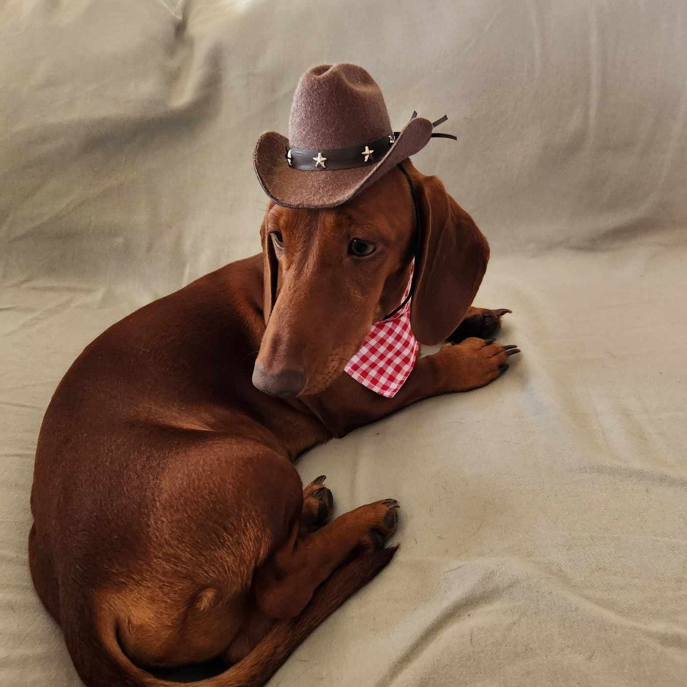 Benson