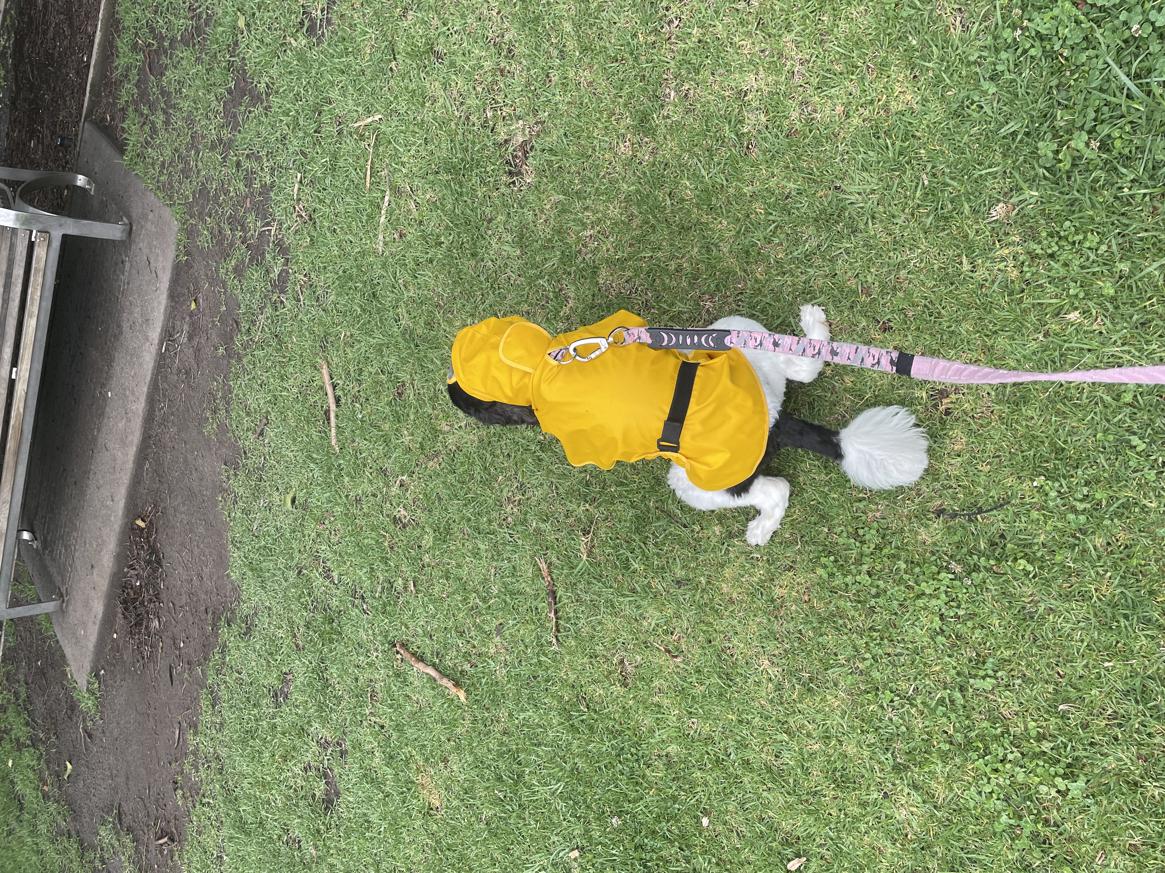 image-14