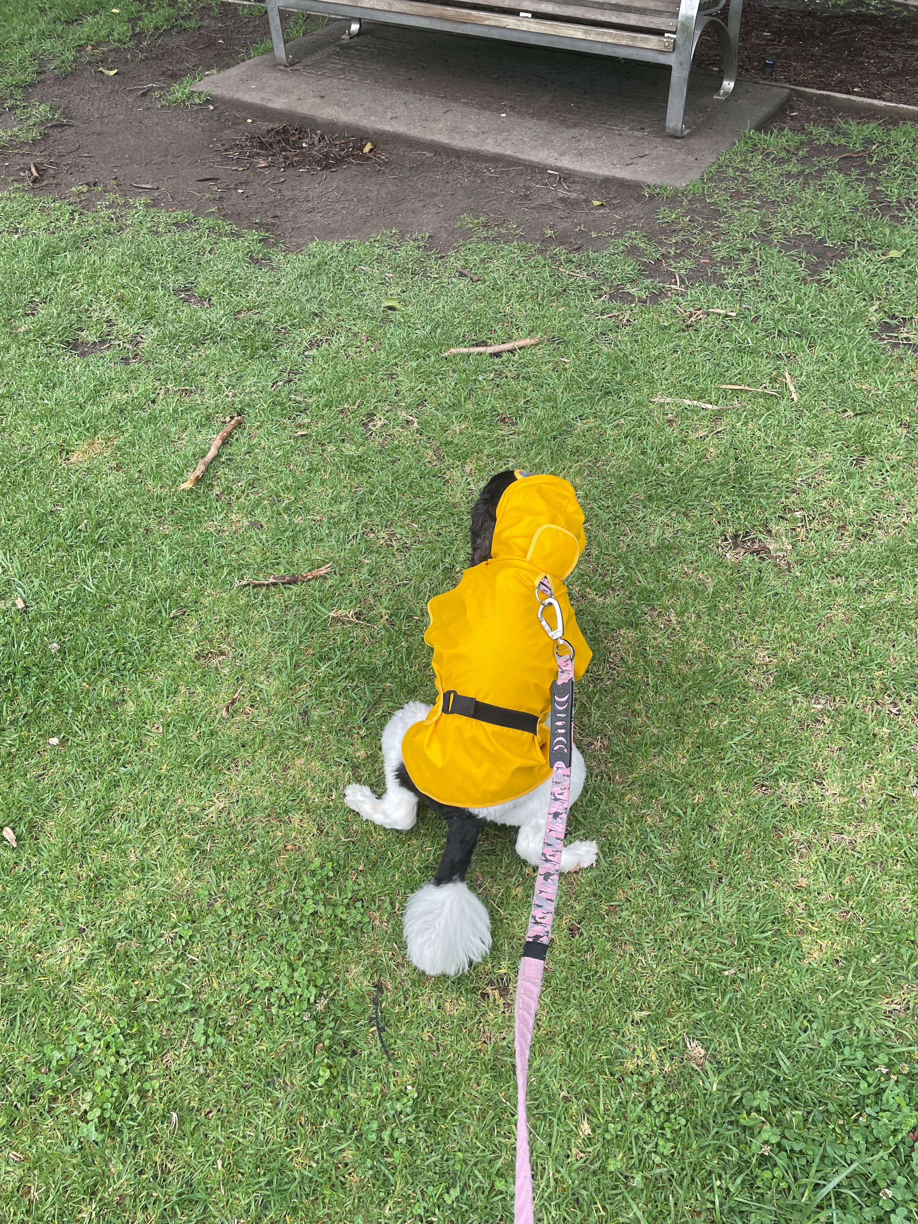 image-14