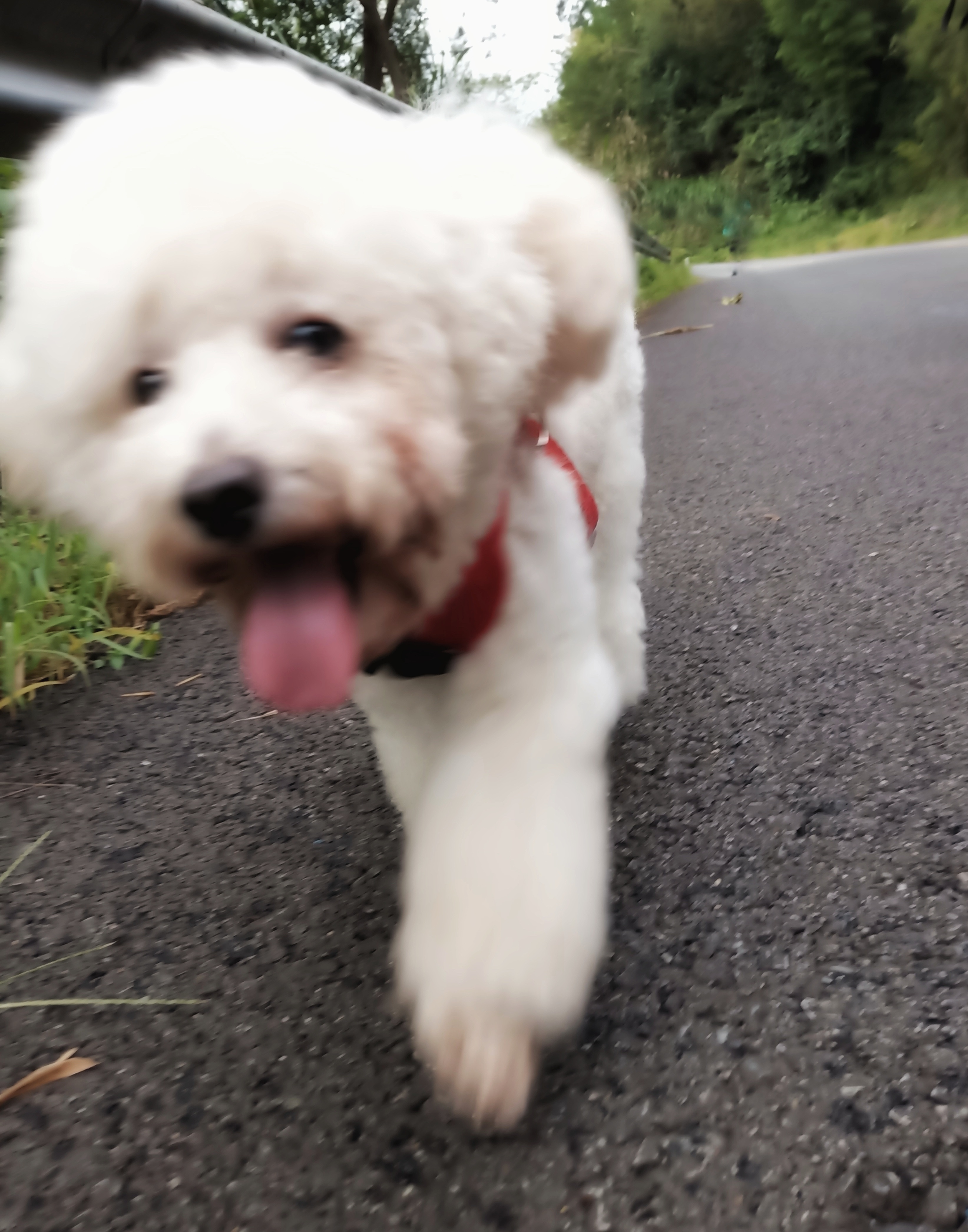 image-8