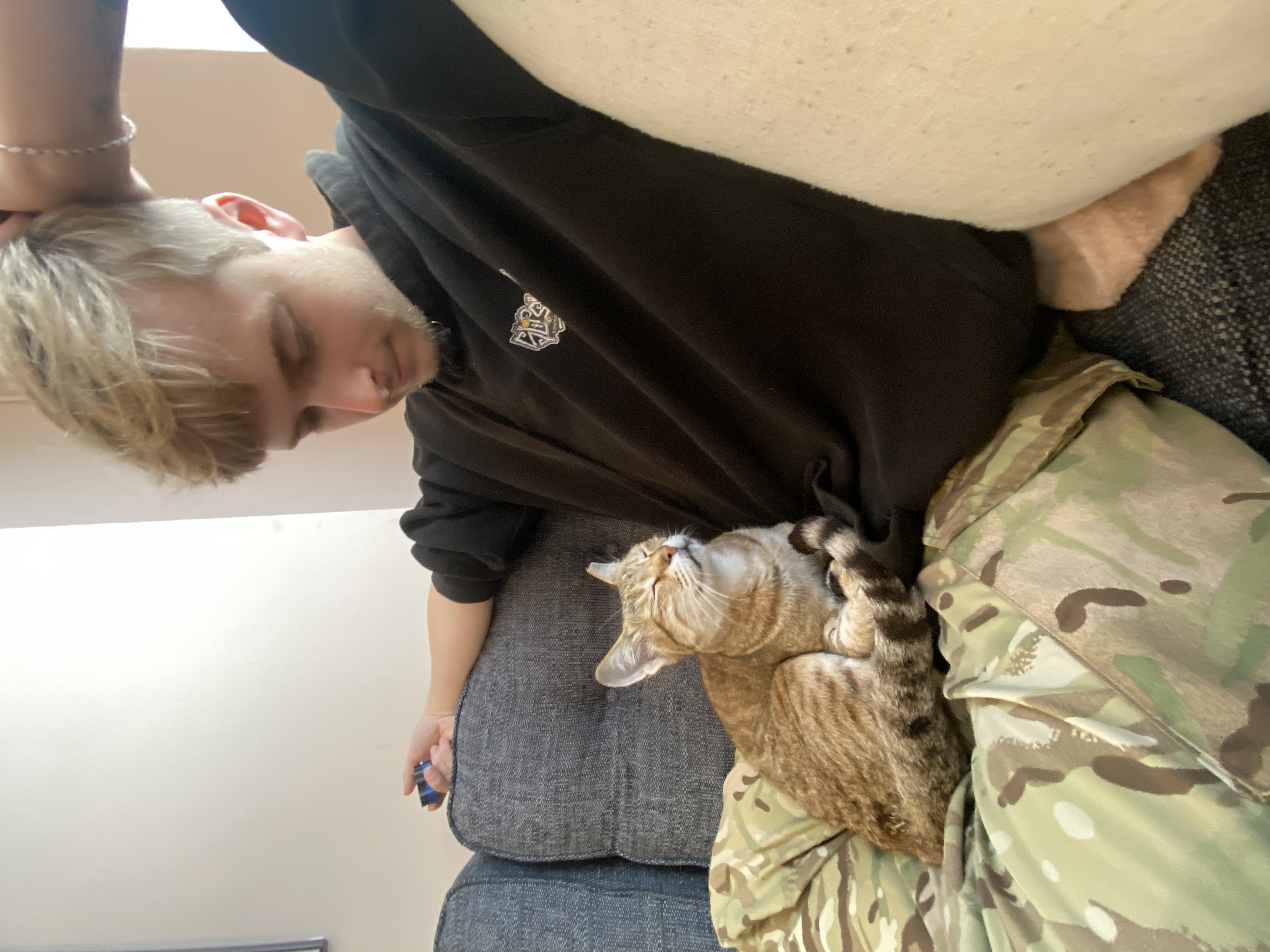 image-7