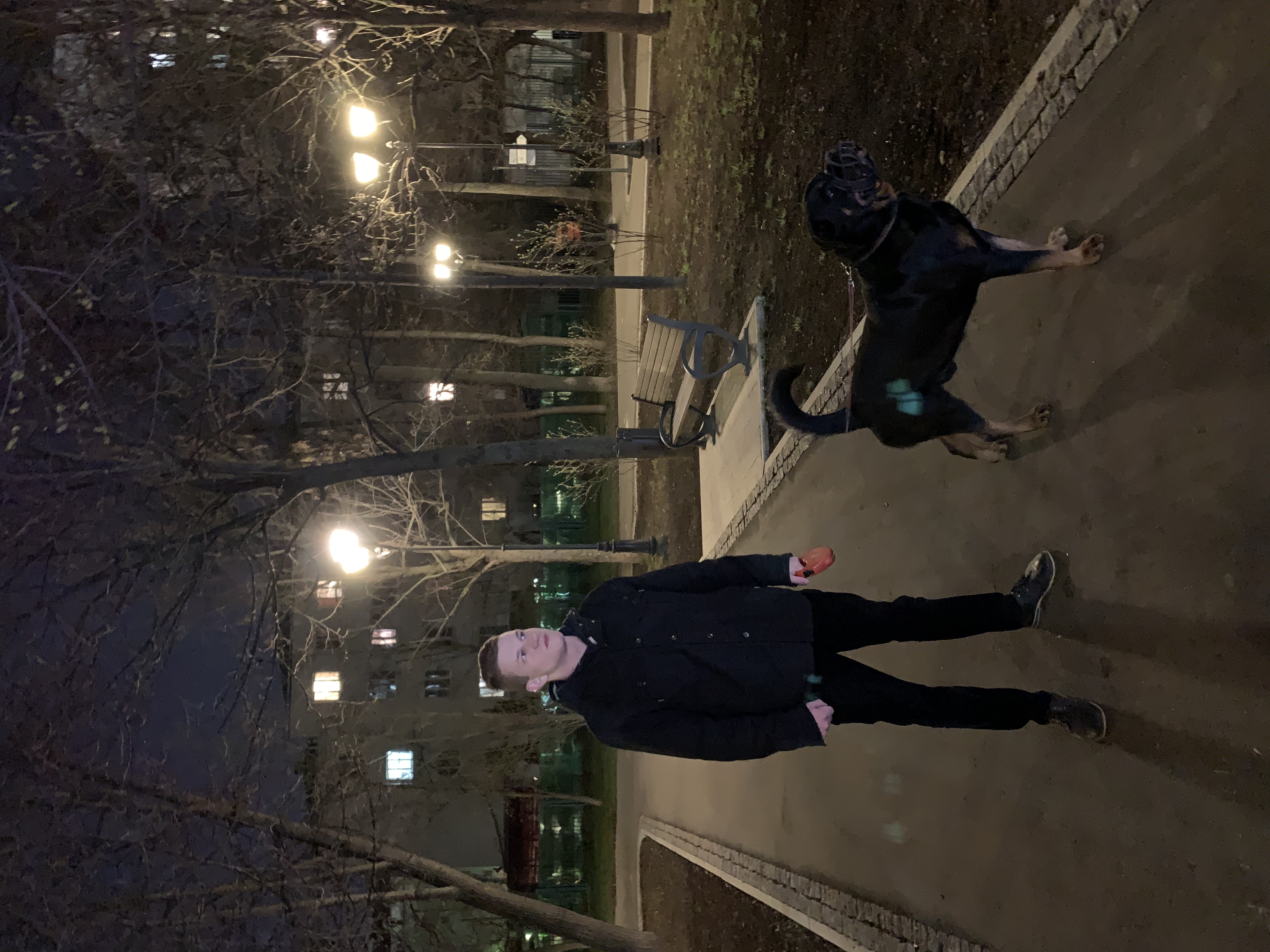 image-5