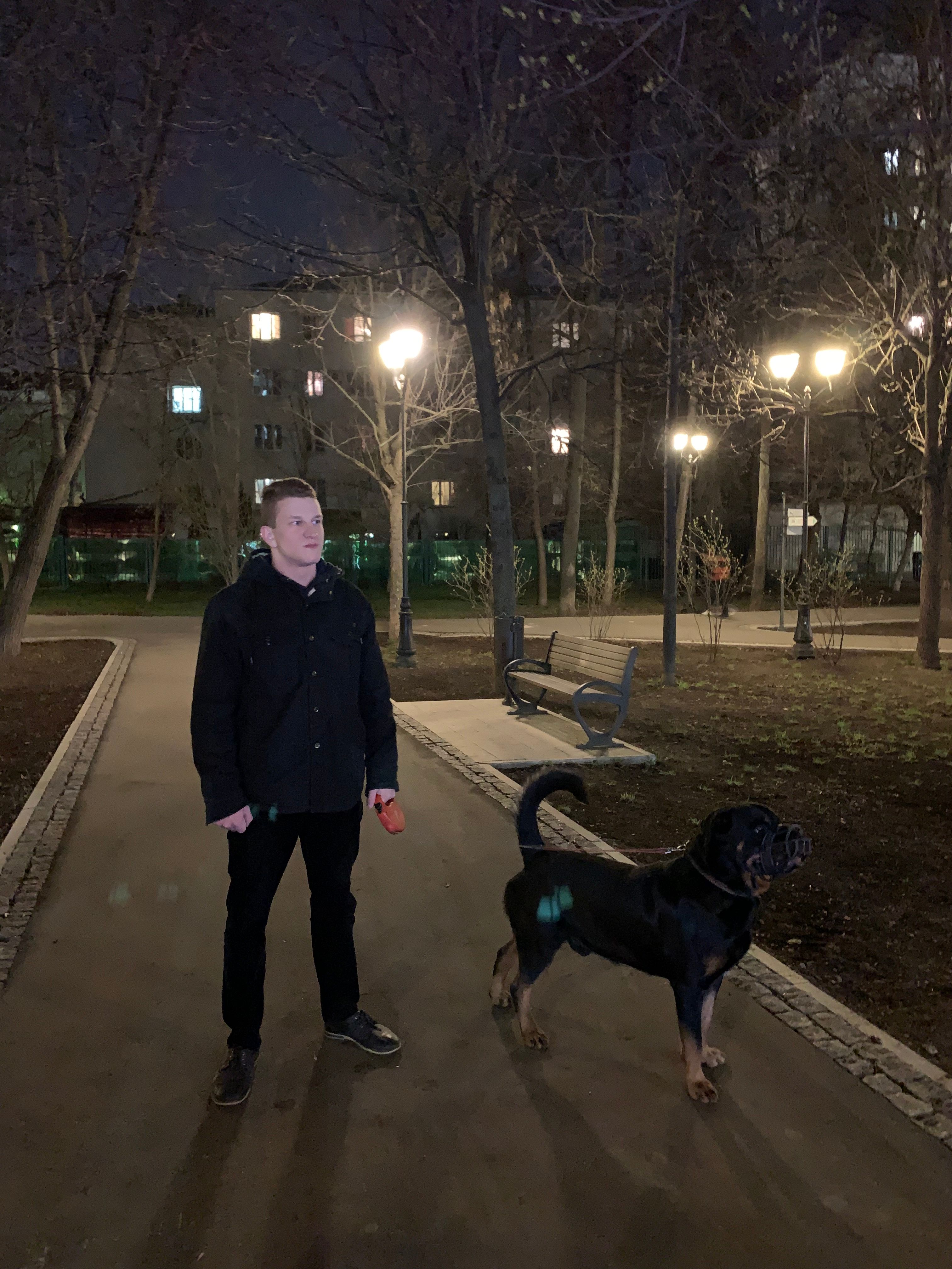image-5