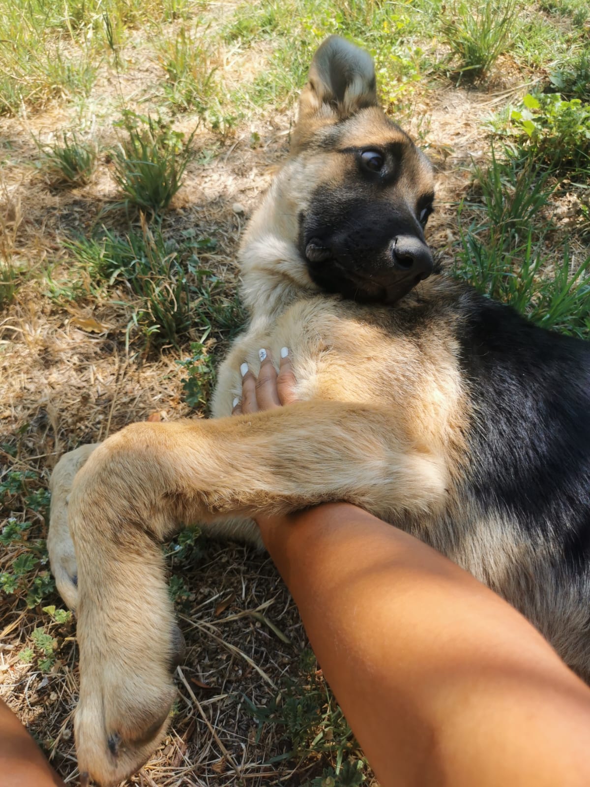image-5