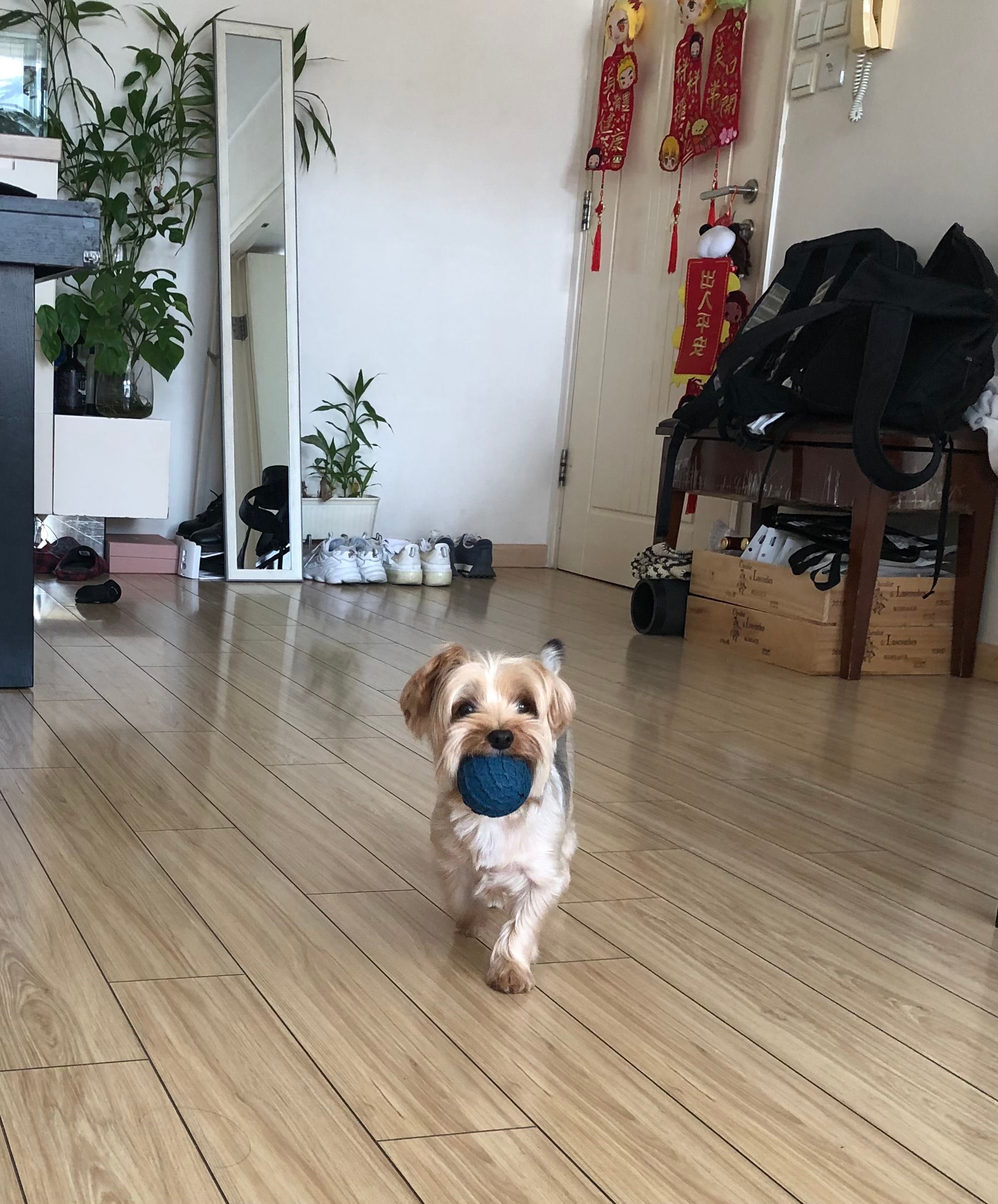 image-7