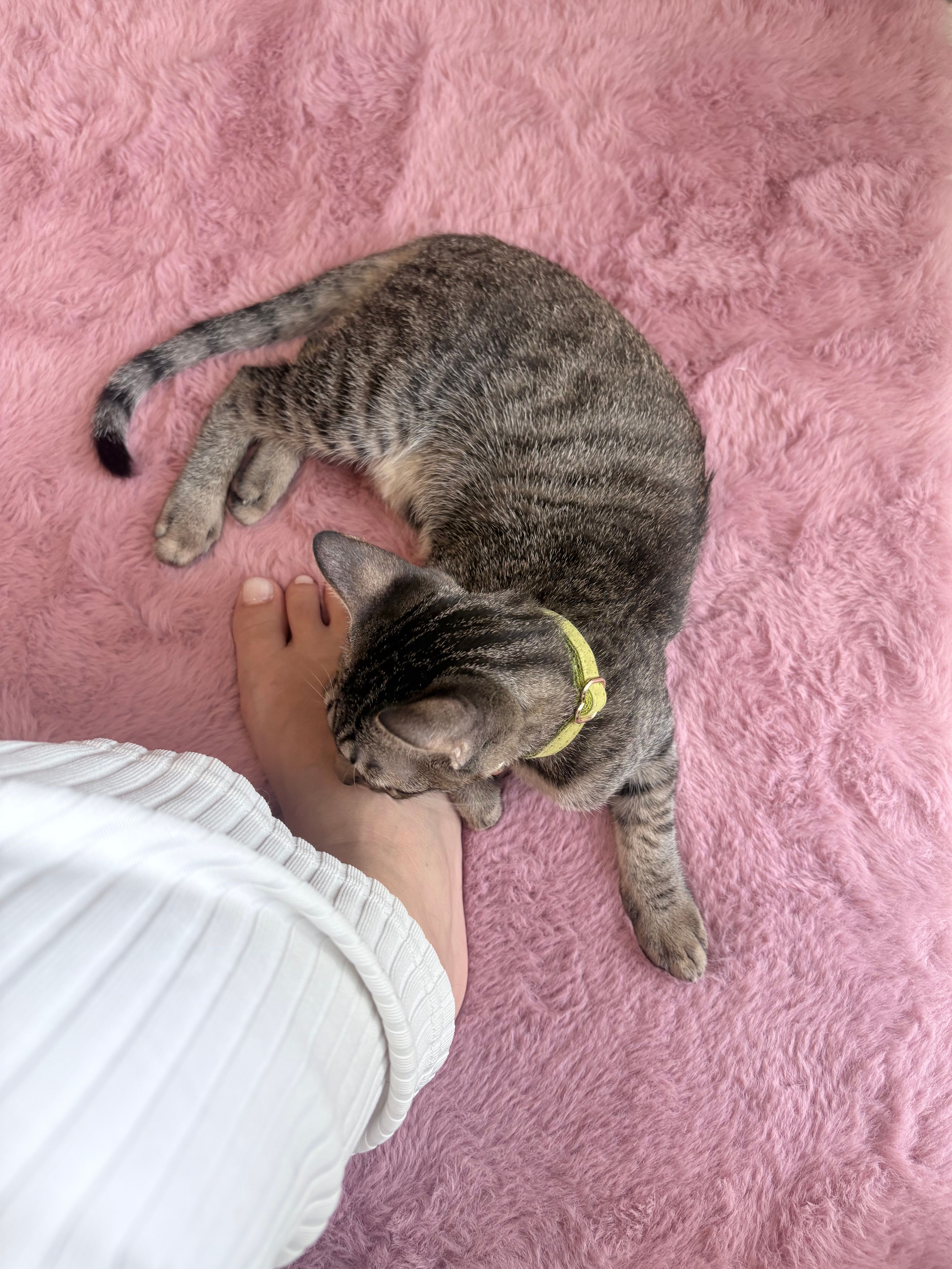 image-10