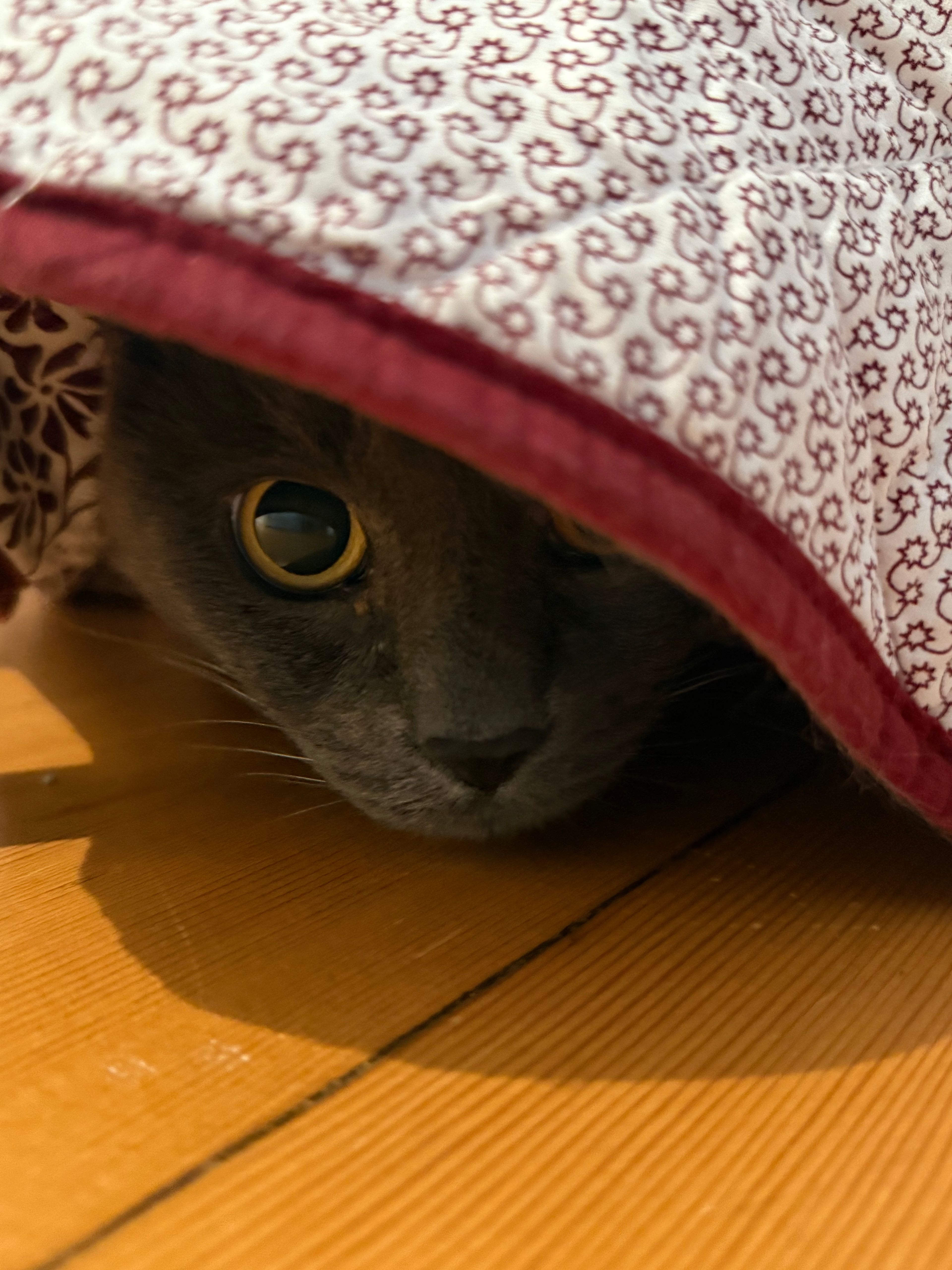 image-16