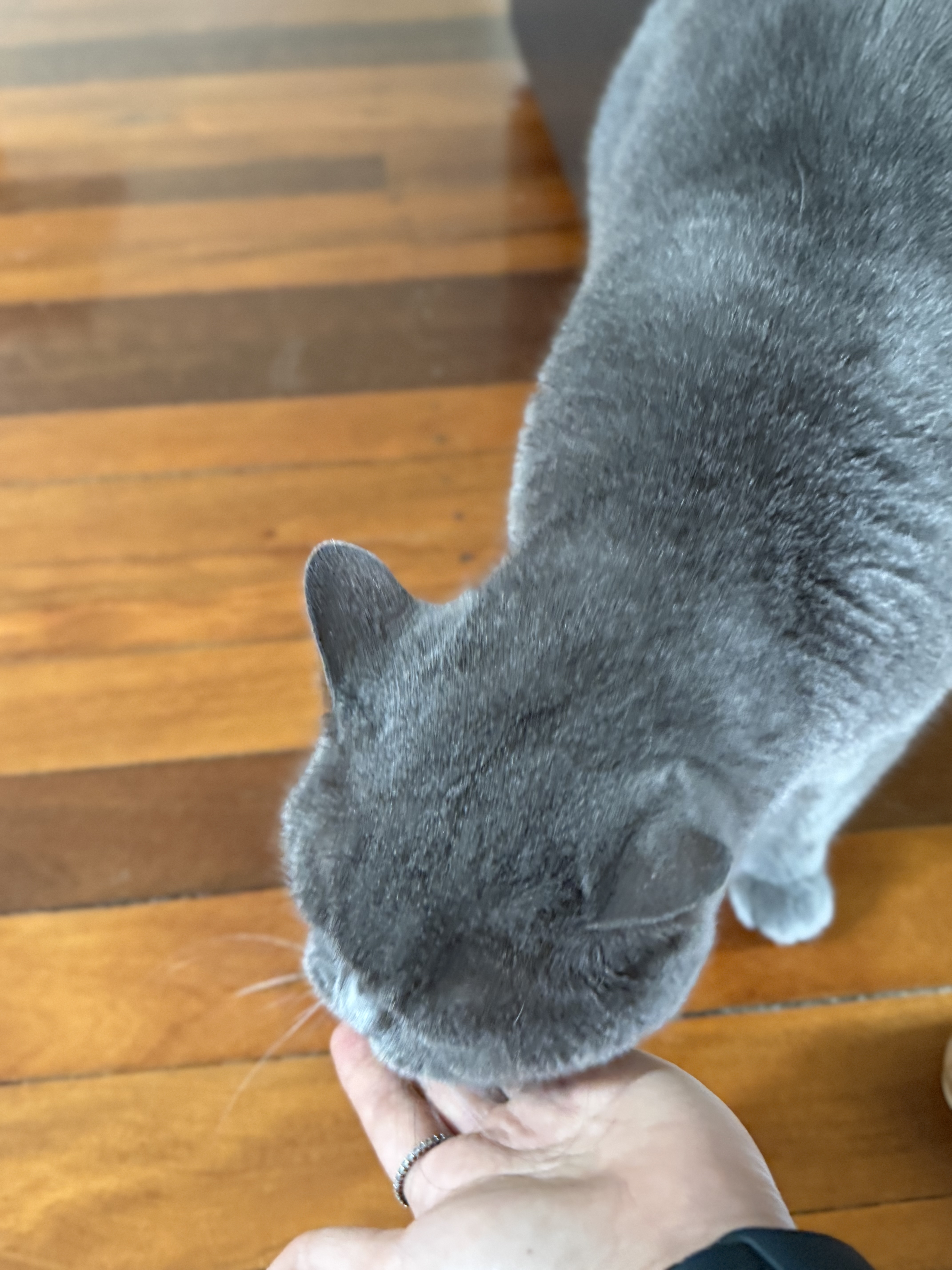 image-18