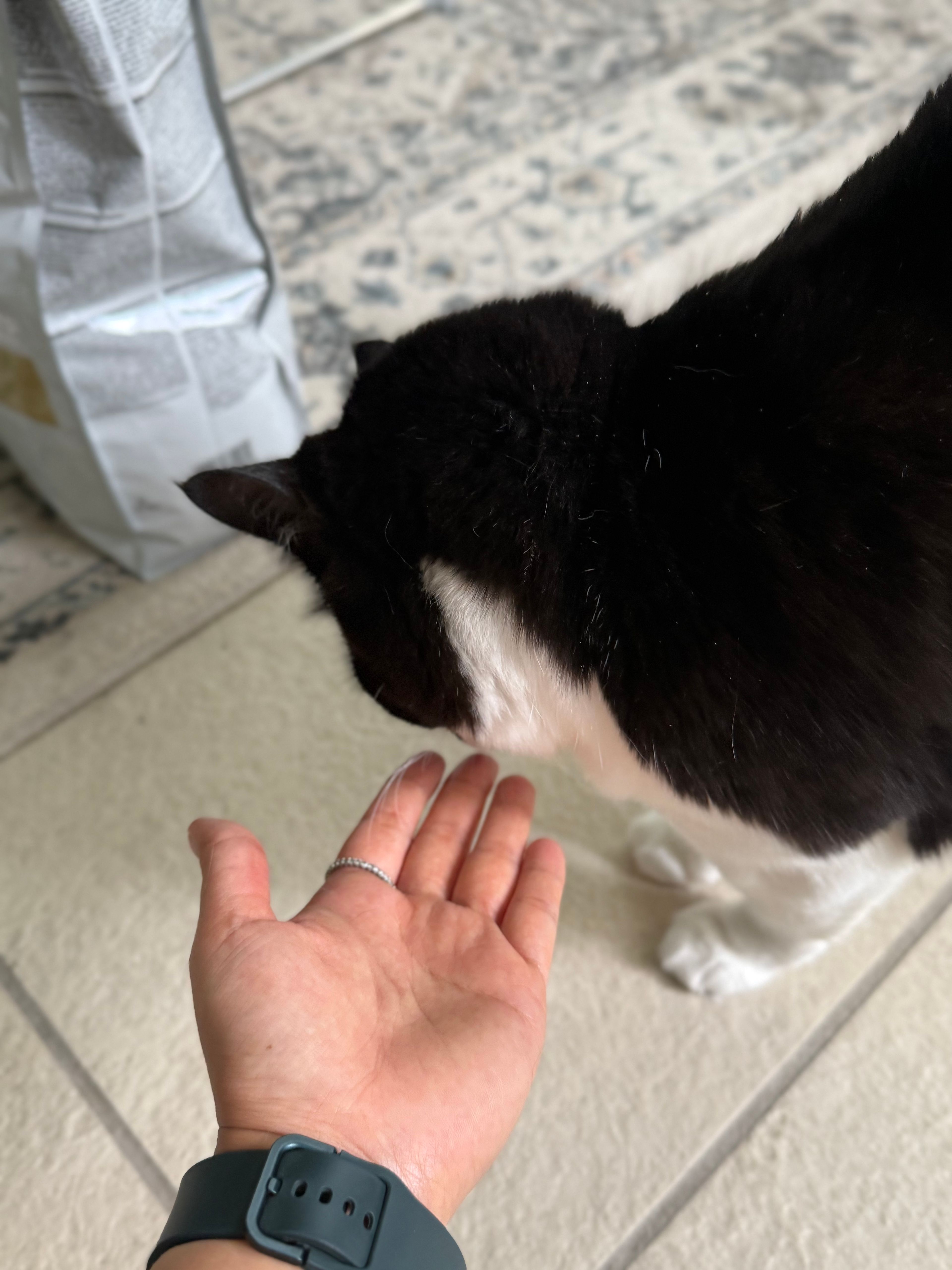 image-17