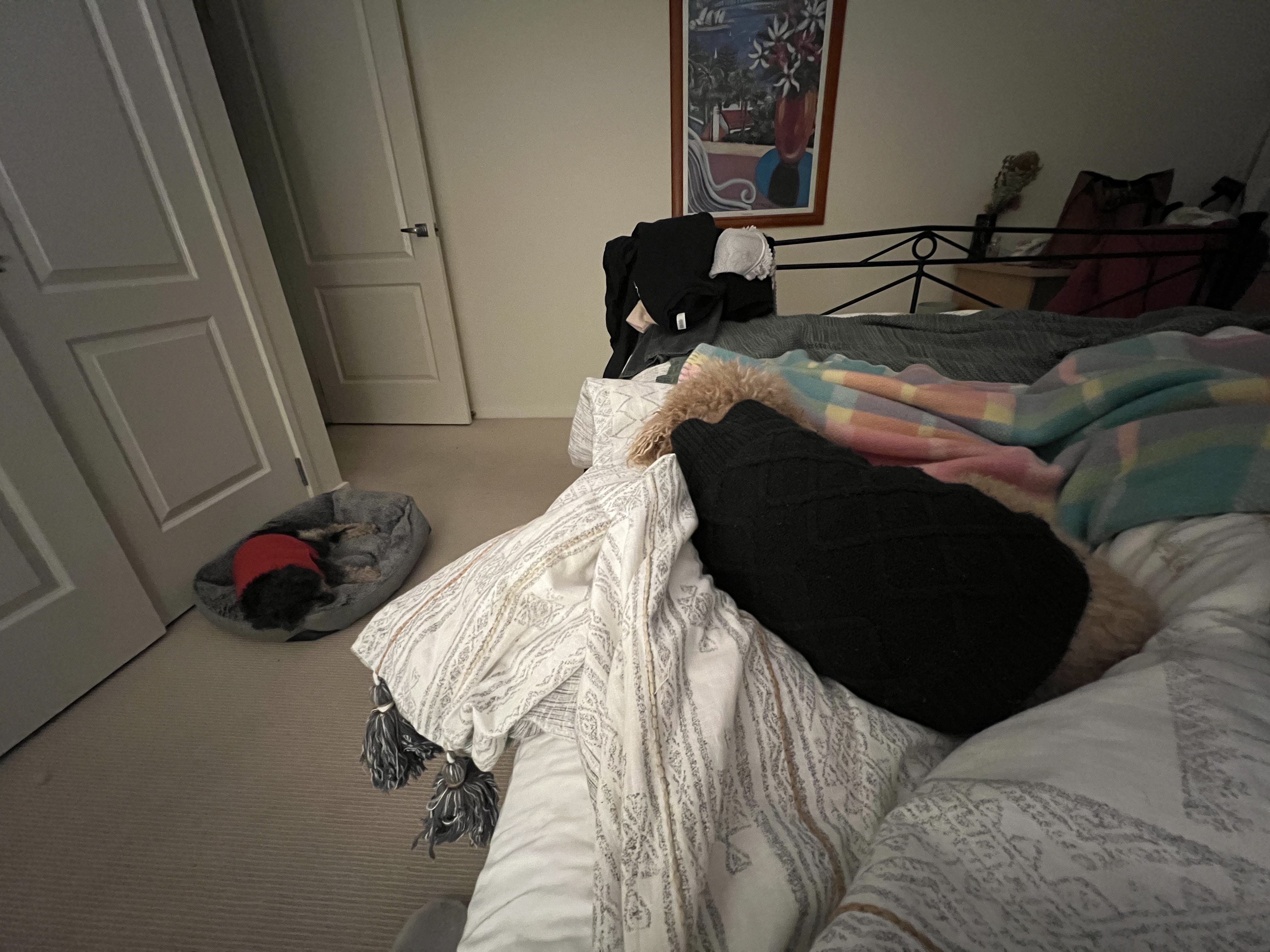 image-47