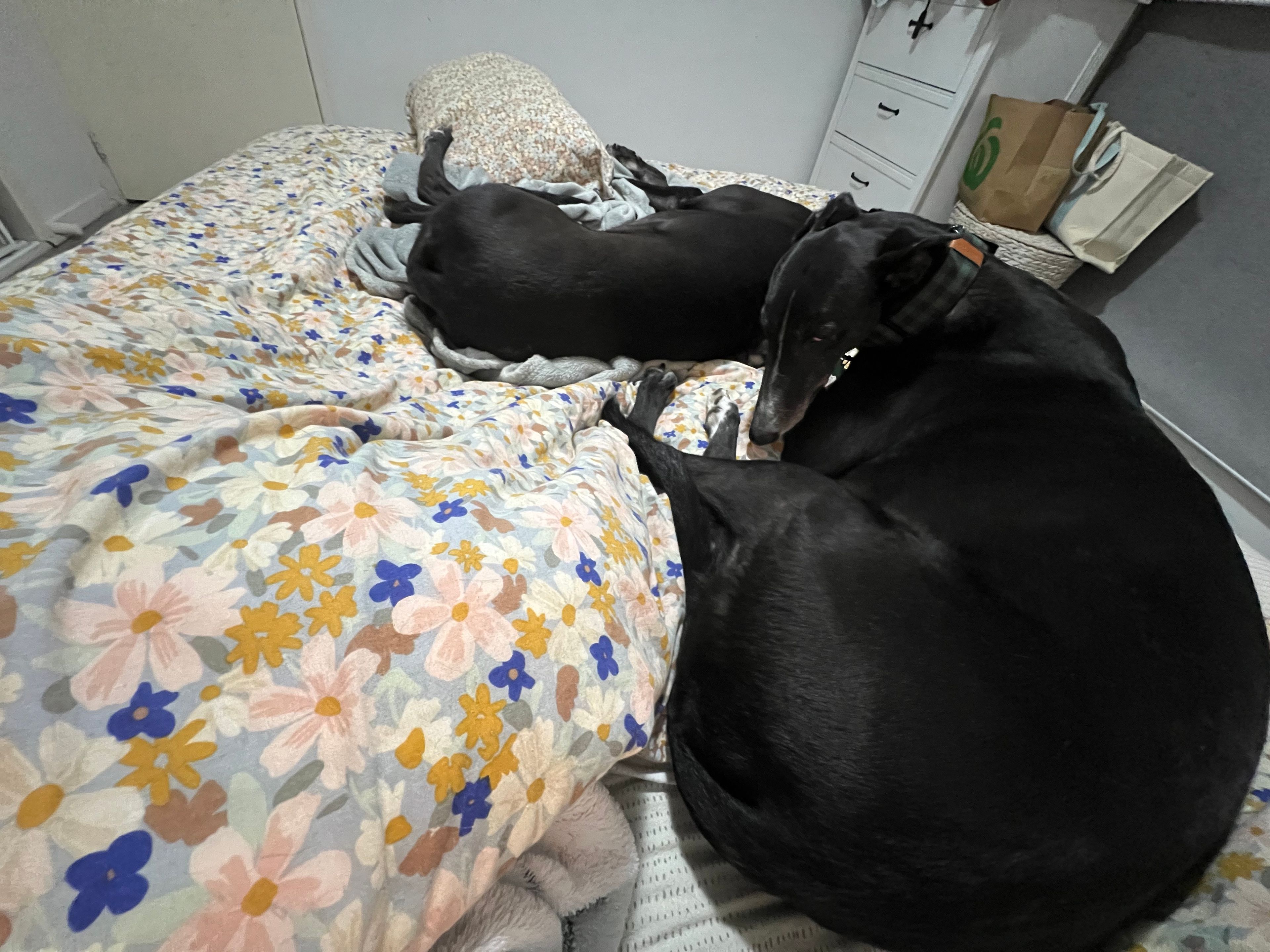 image-42