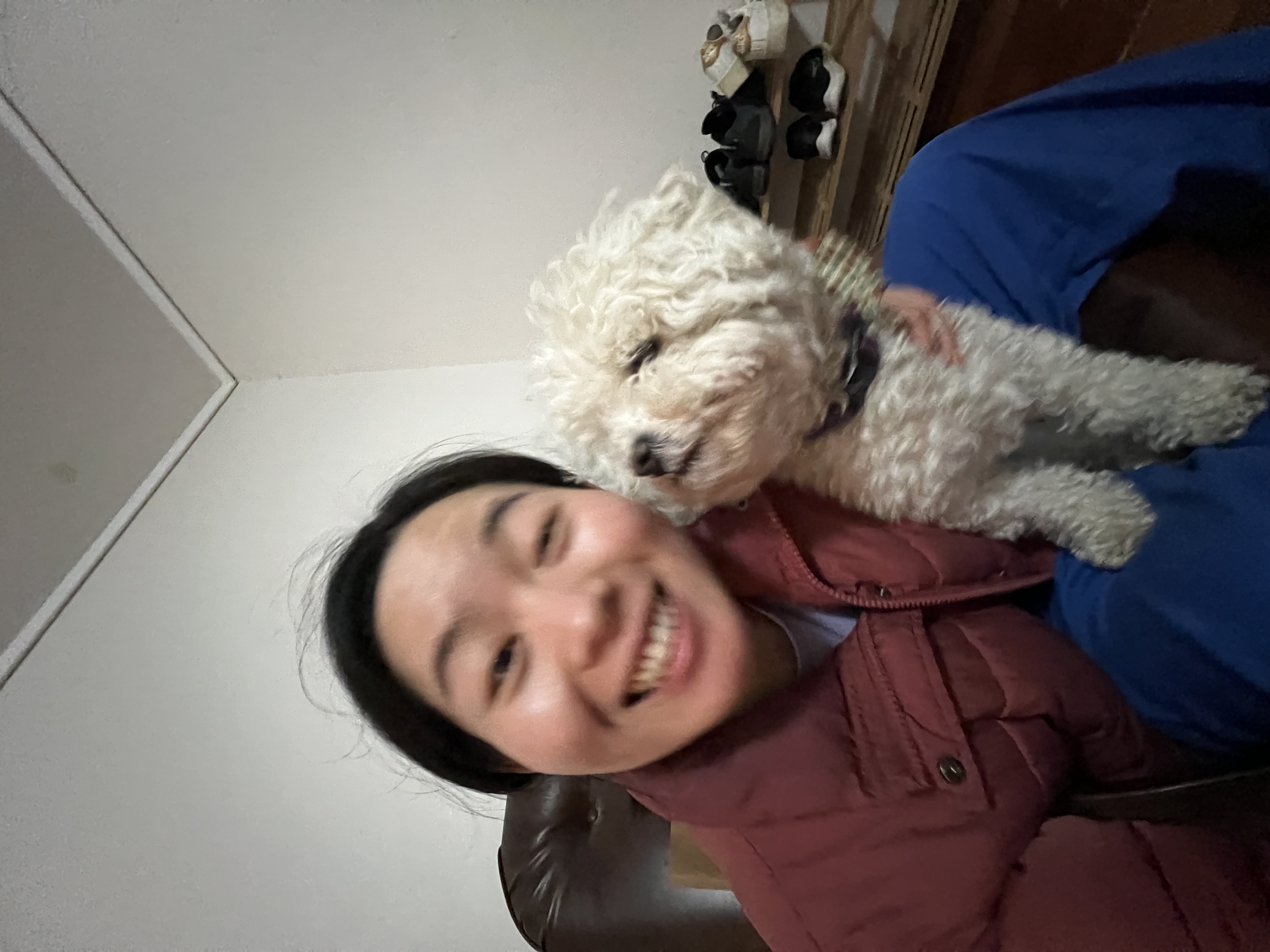 image-4