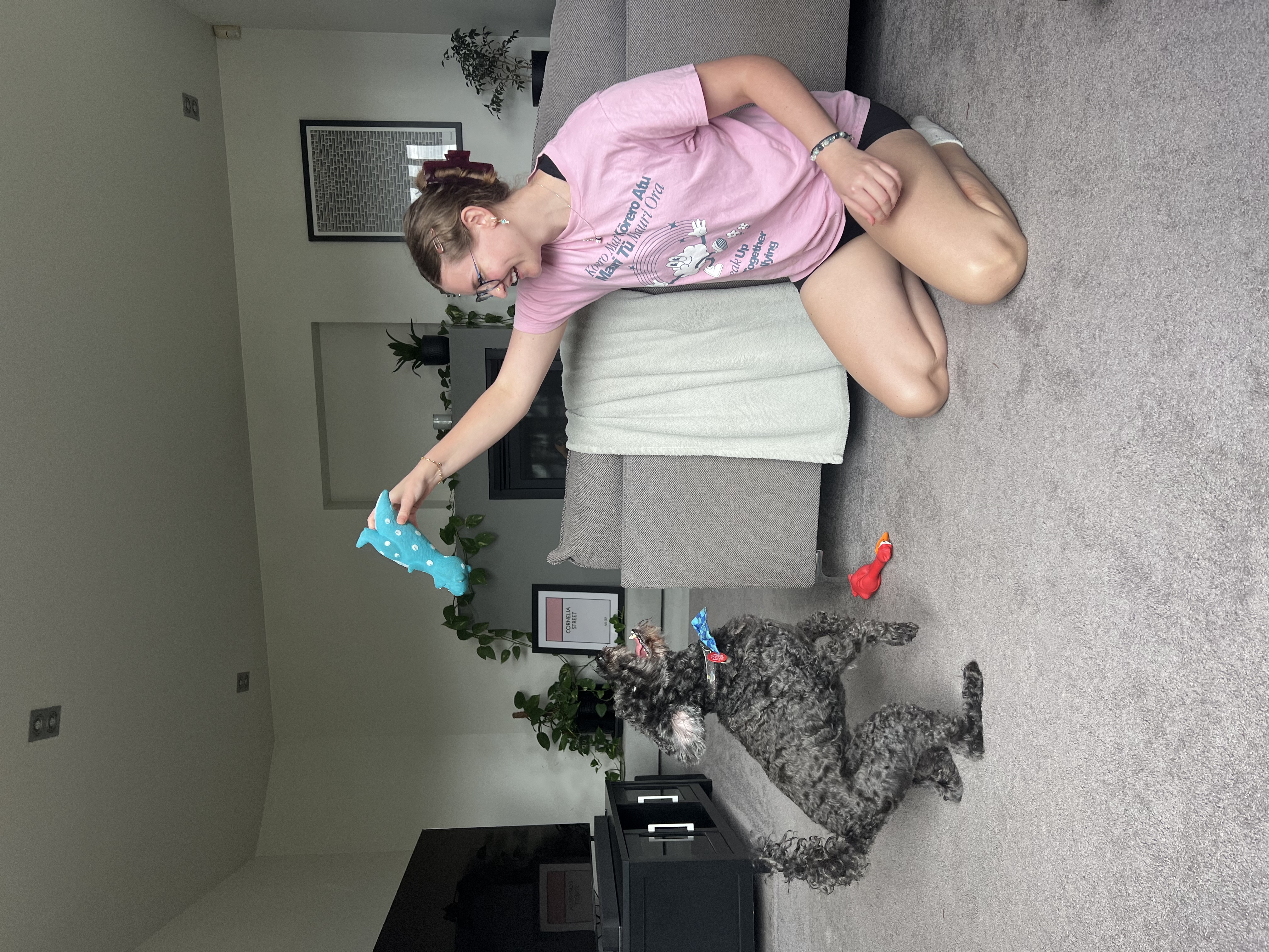 image-6