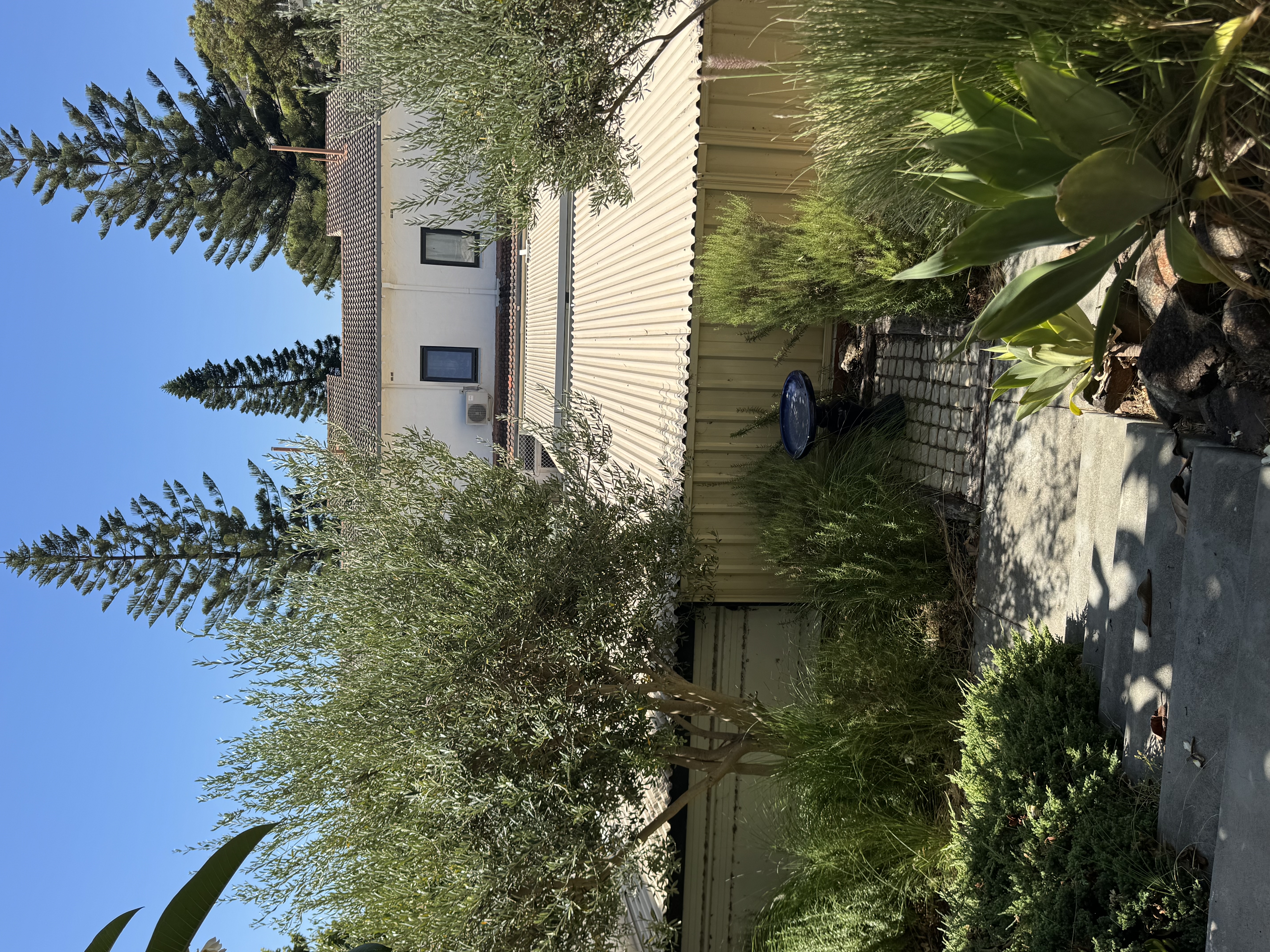 image-13
