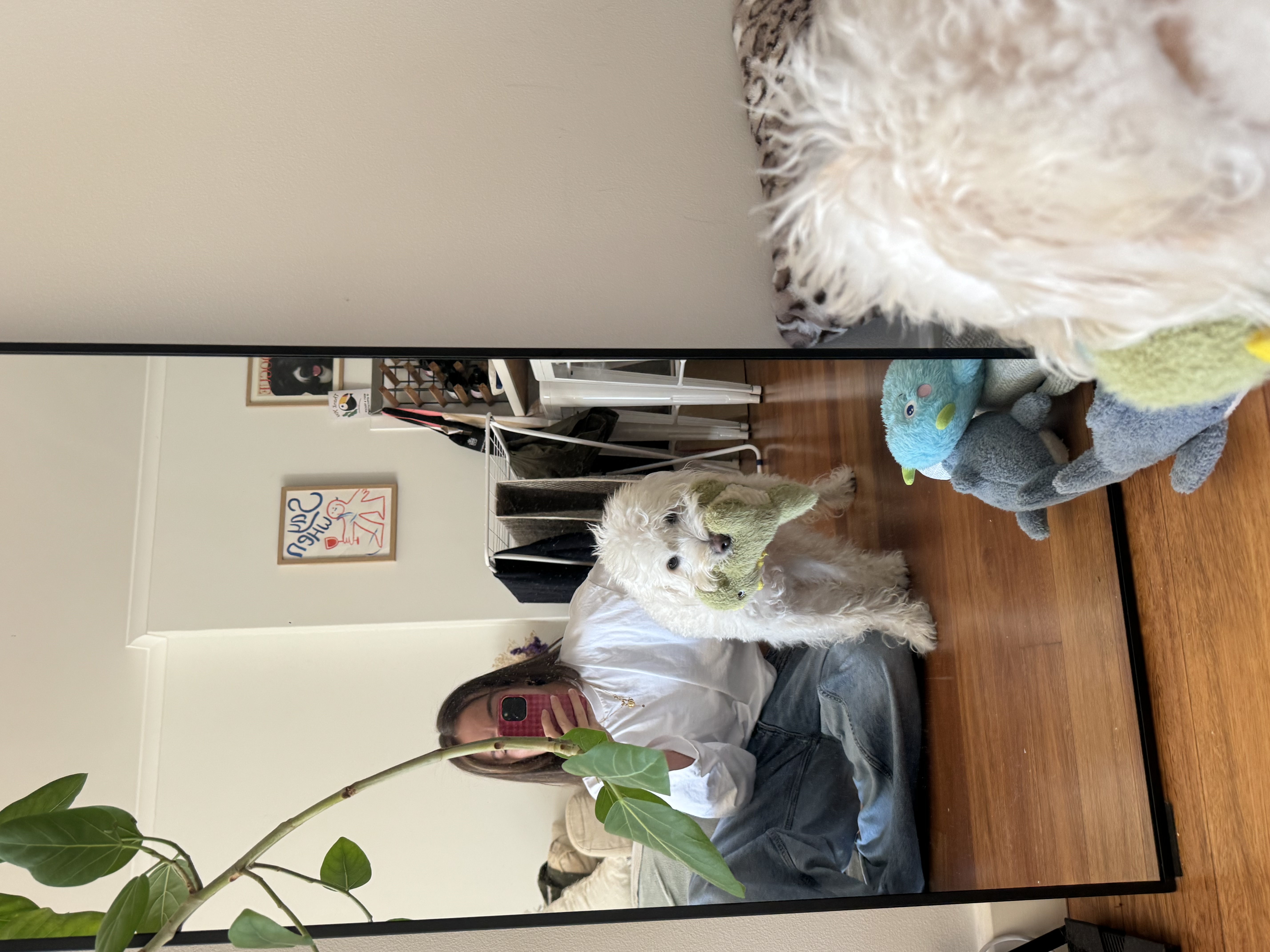 image-11
