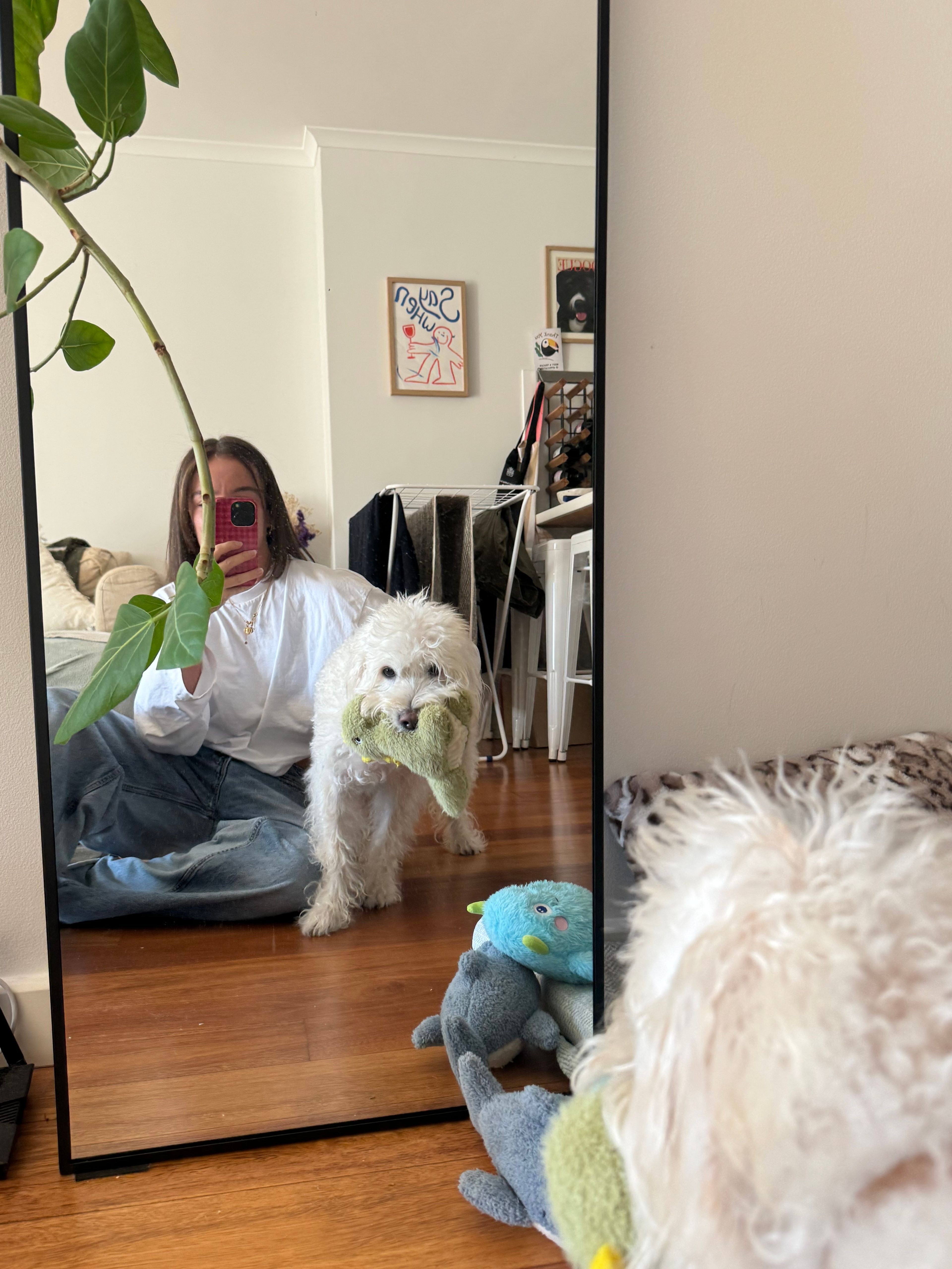 image-11