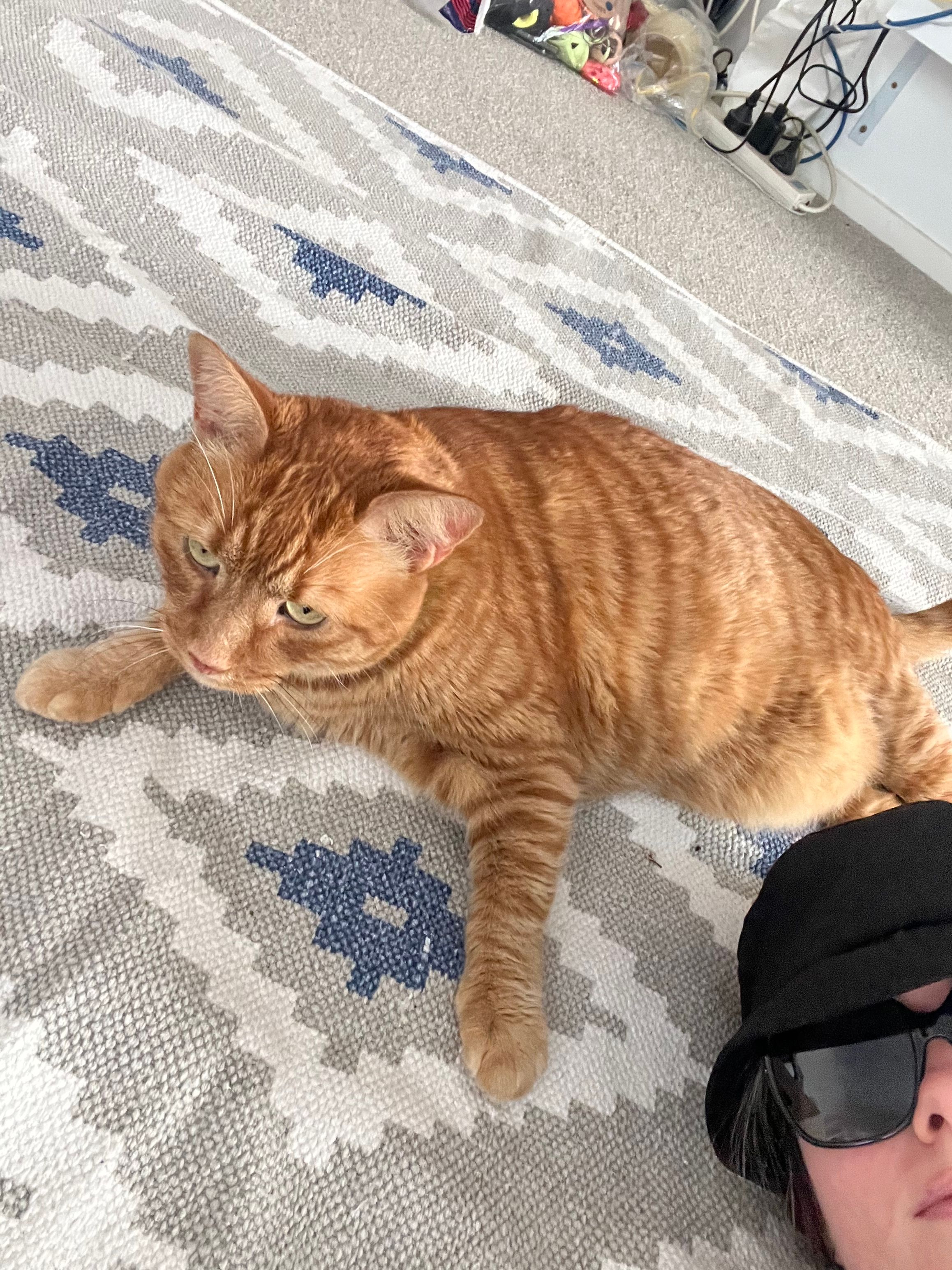 image-4