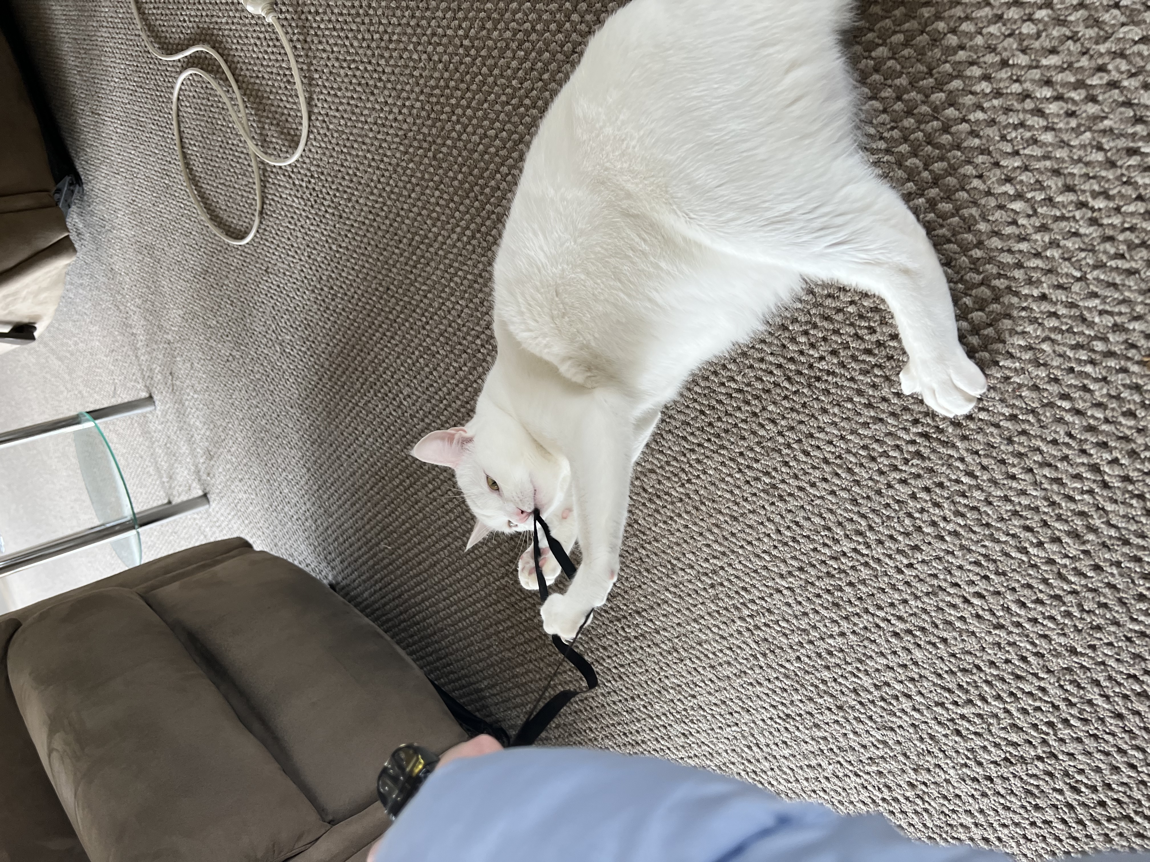 image-11